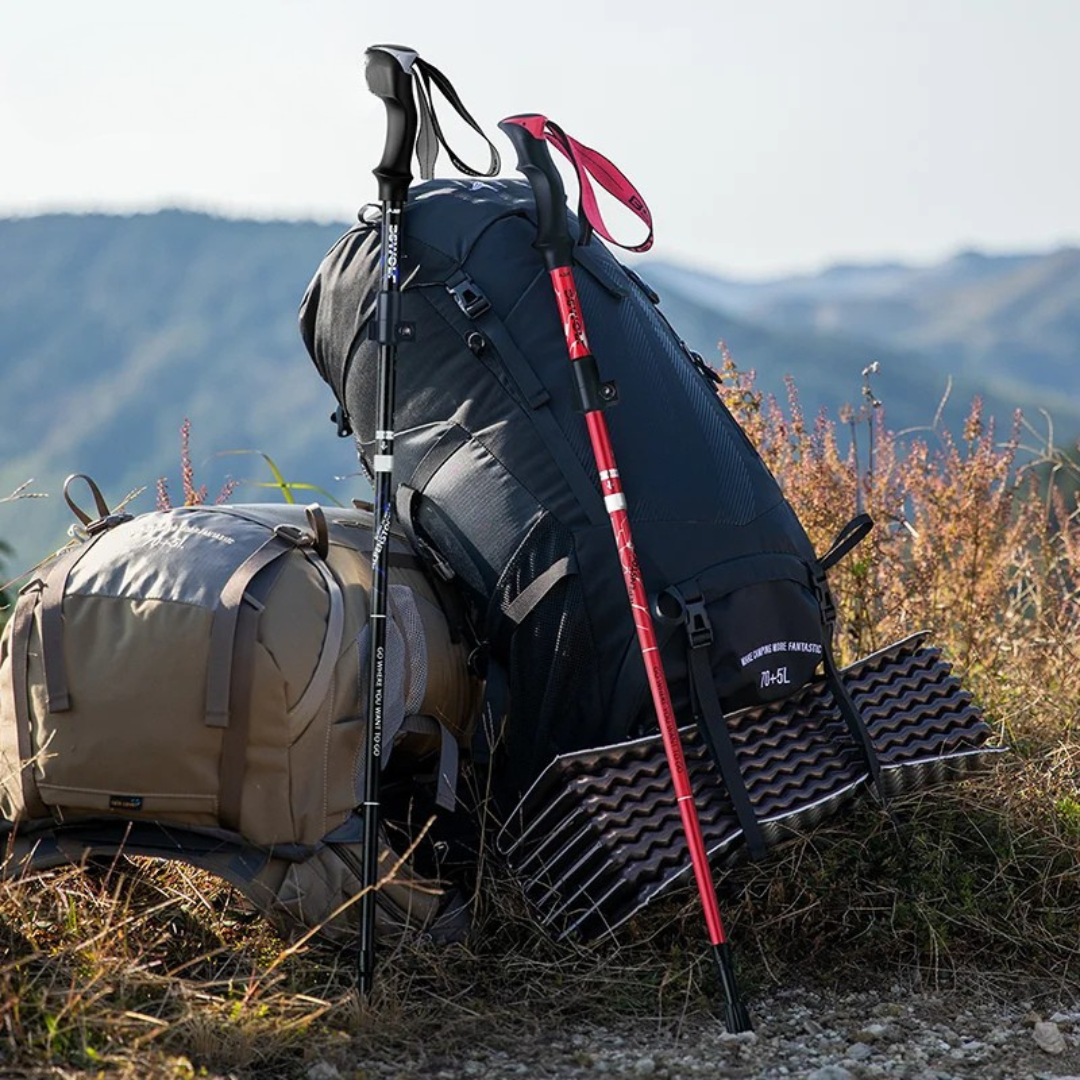 Nordspur | TrailVero Ultralight Folding Trekking Poles