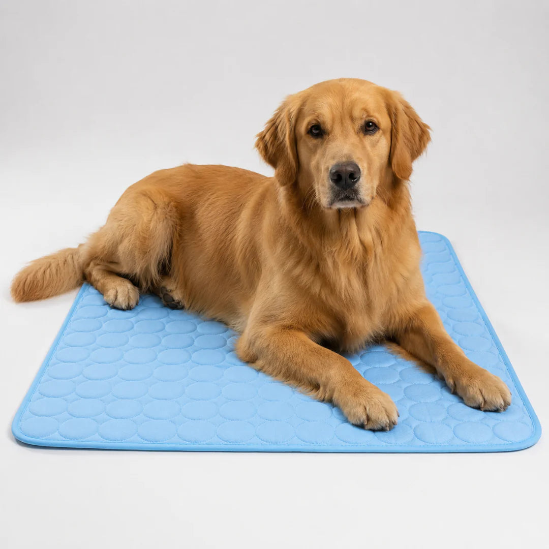 Nordspur | Frostbed Washable Pet Cooling Mat