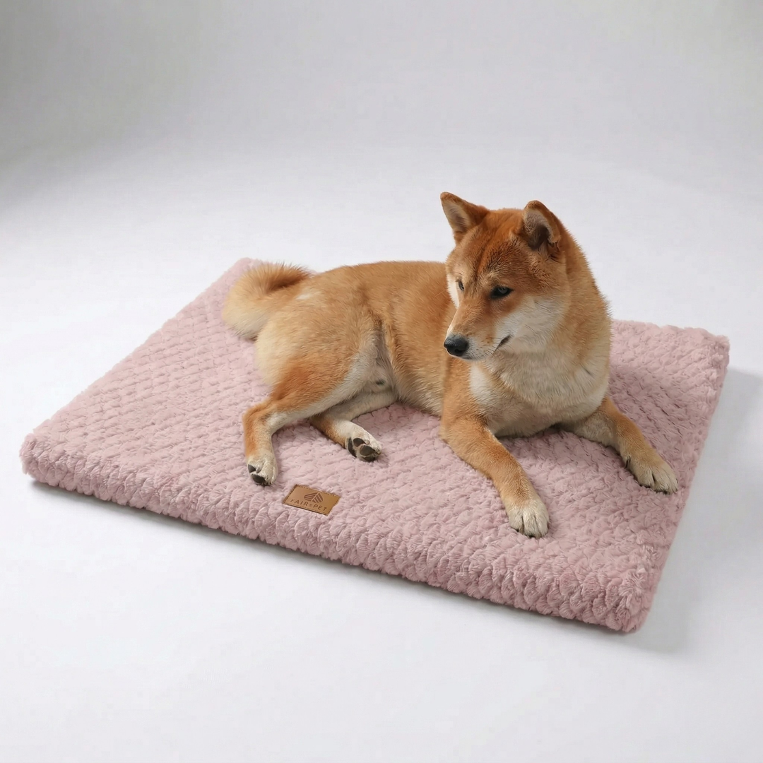 Nordspur | Pawloft Flat Orthopedic Dog Mat With Foam Base