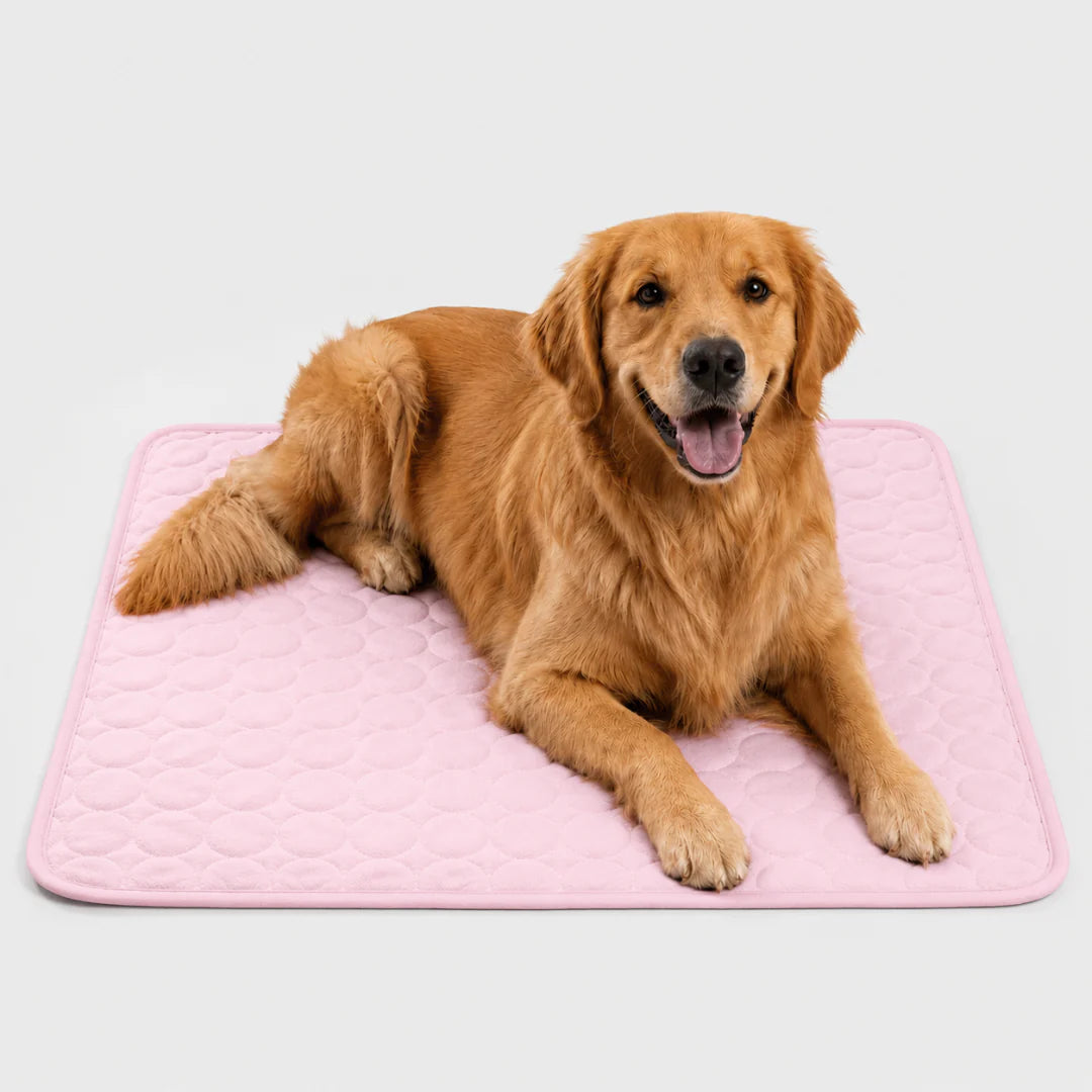 Nordspur | Frostbed Washable Pet Cooling Mat