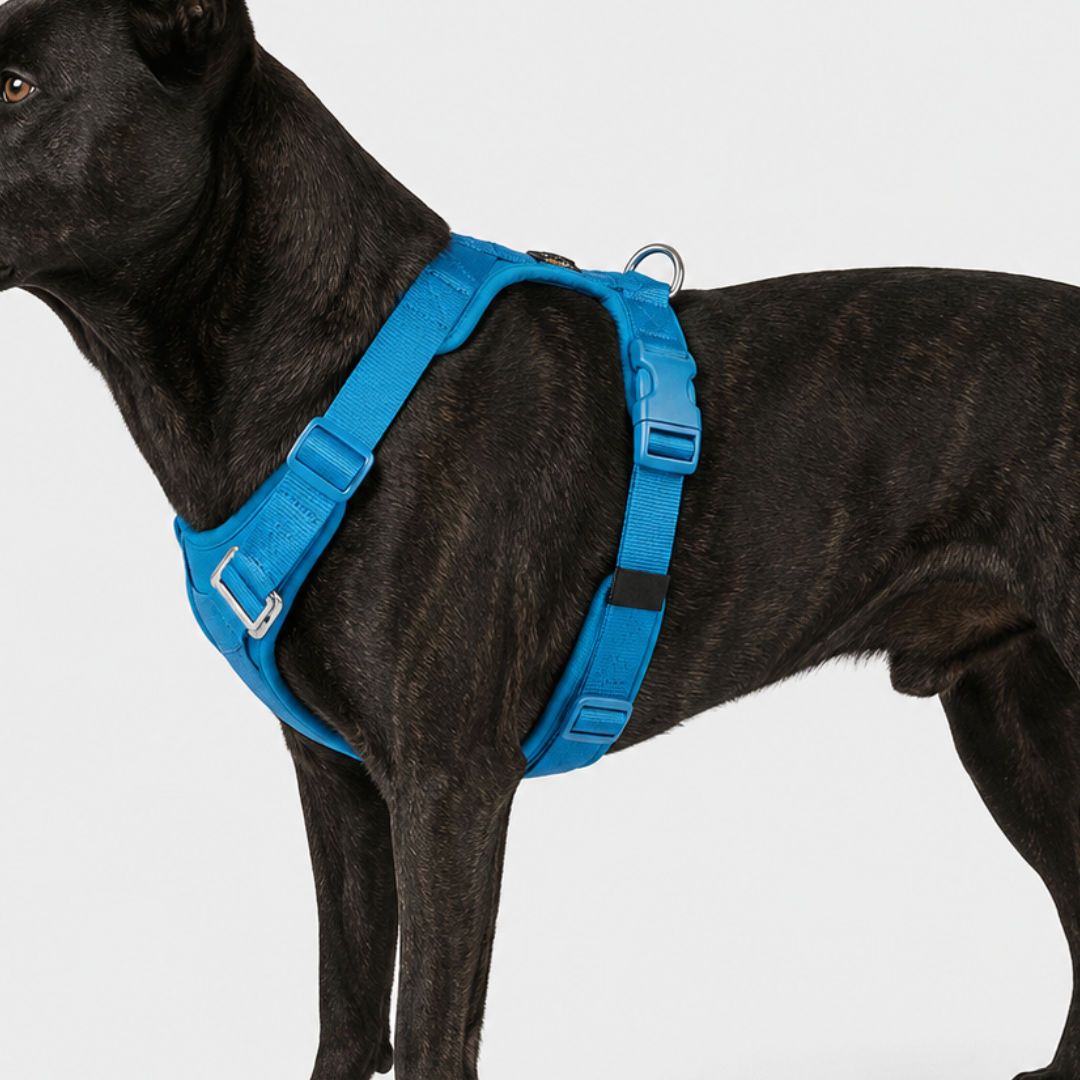 Nordspur | Houndlix Adjustable No-Pull Vest Harness