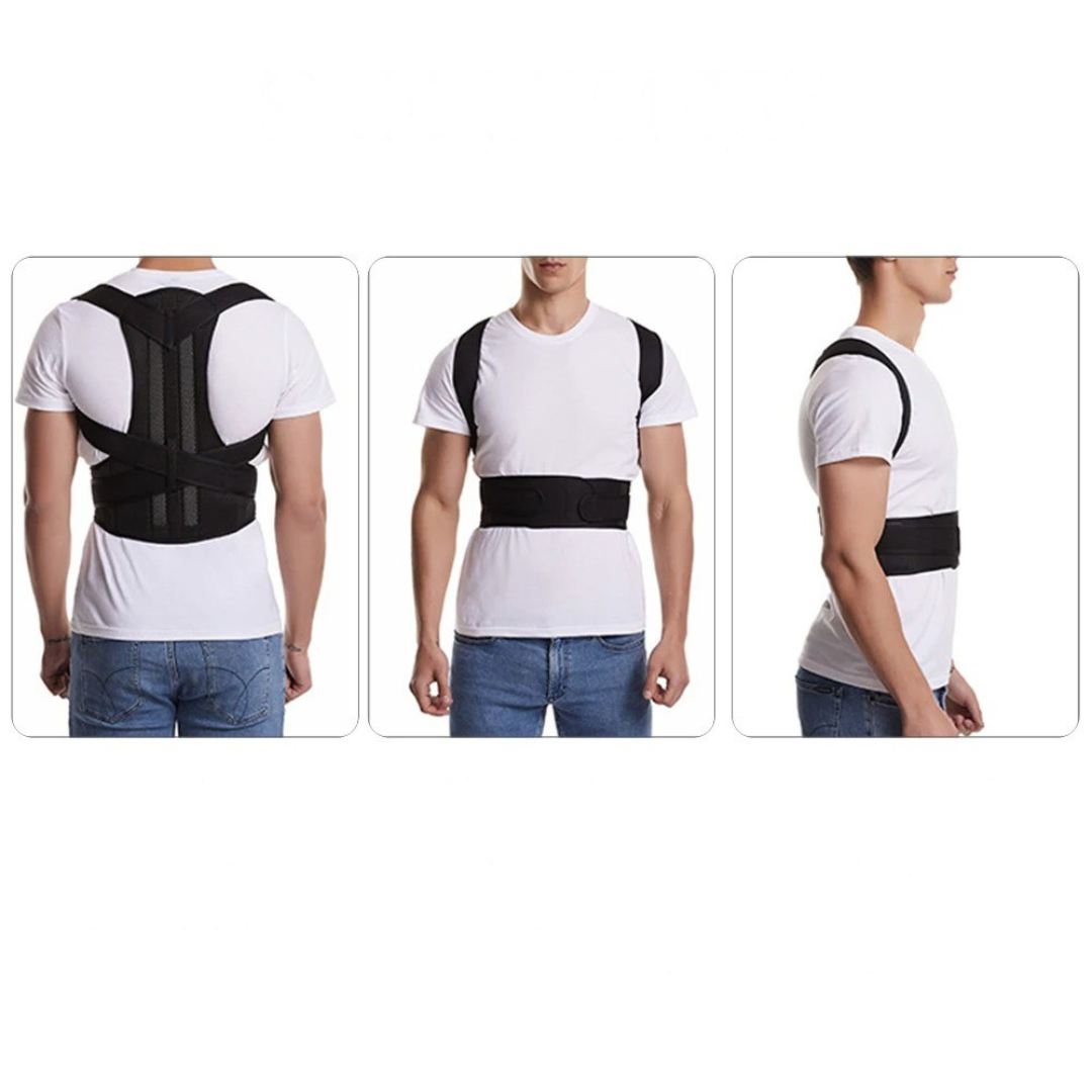 Nordspur | Spineva Adjustable Full Back Support