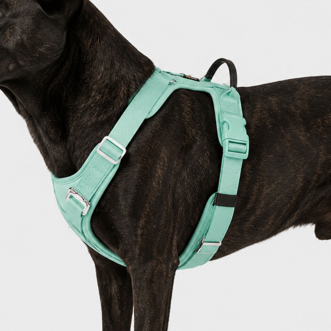 Nordspur | Houndlix Adjustable No-Pull Vest Harness