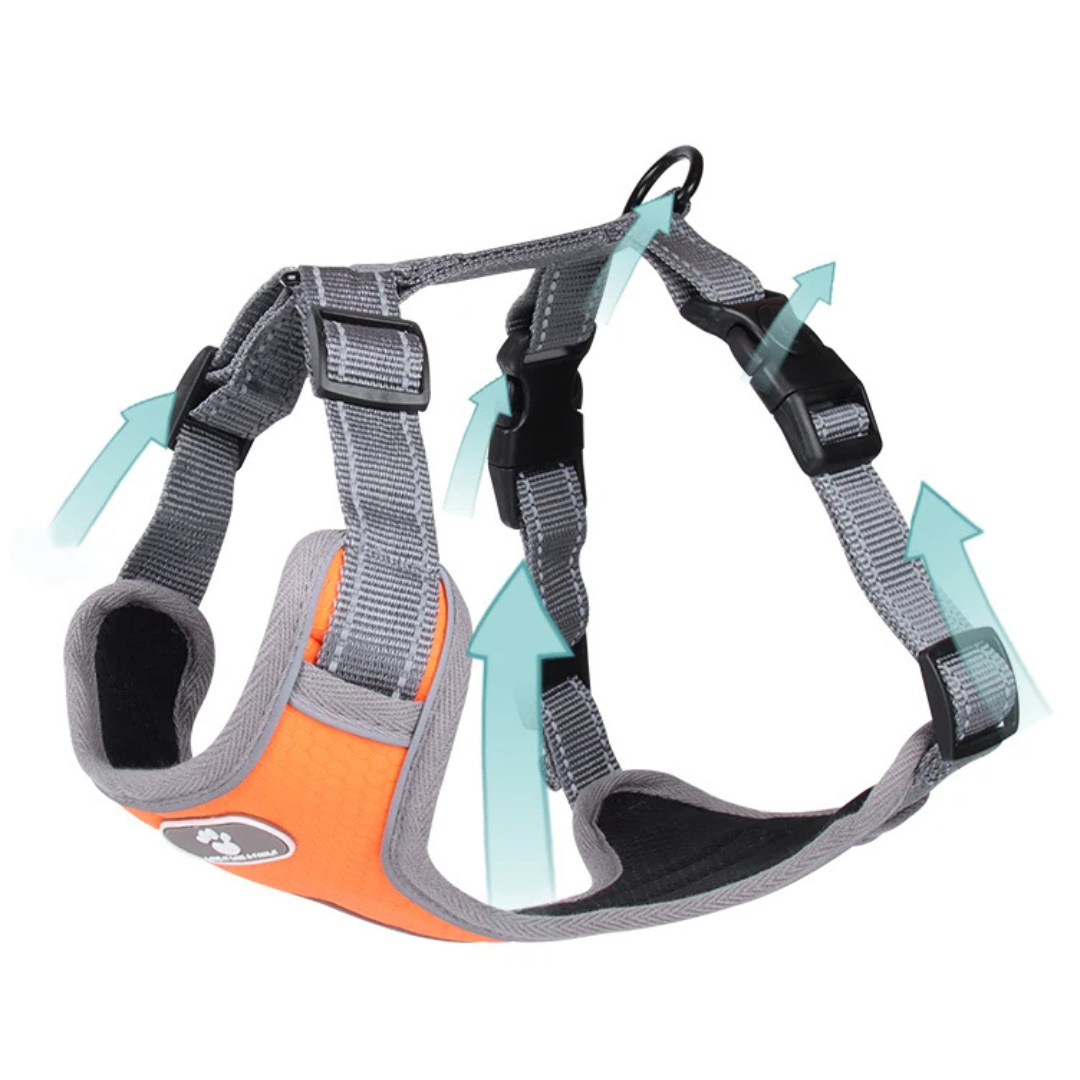 Nordspur | Pawvex Adjustable Reflective Dog Vest Harness
