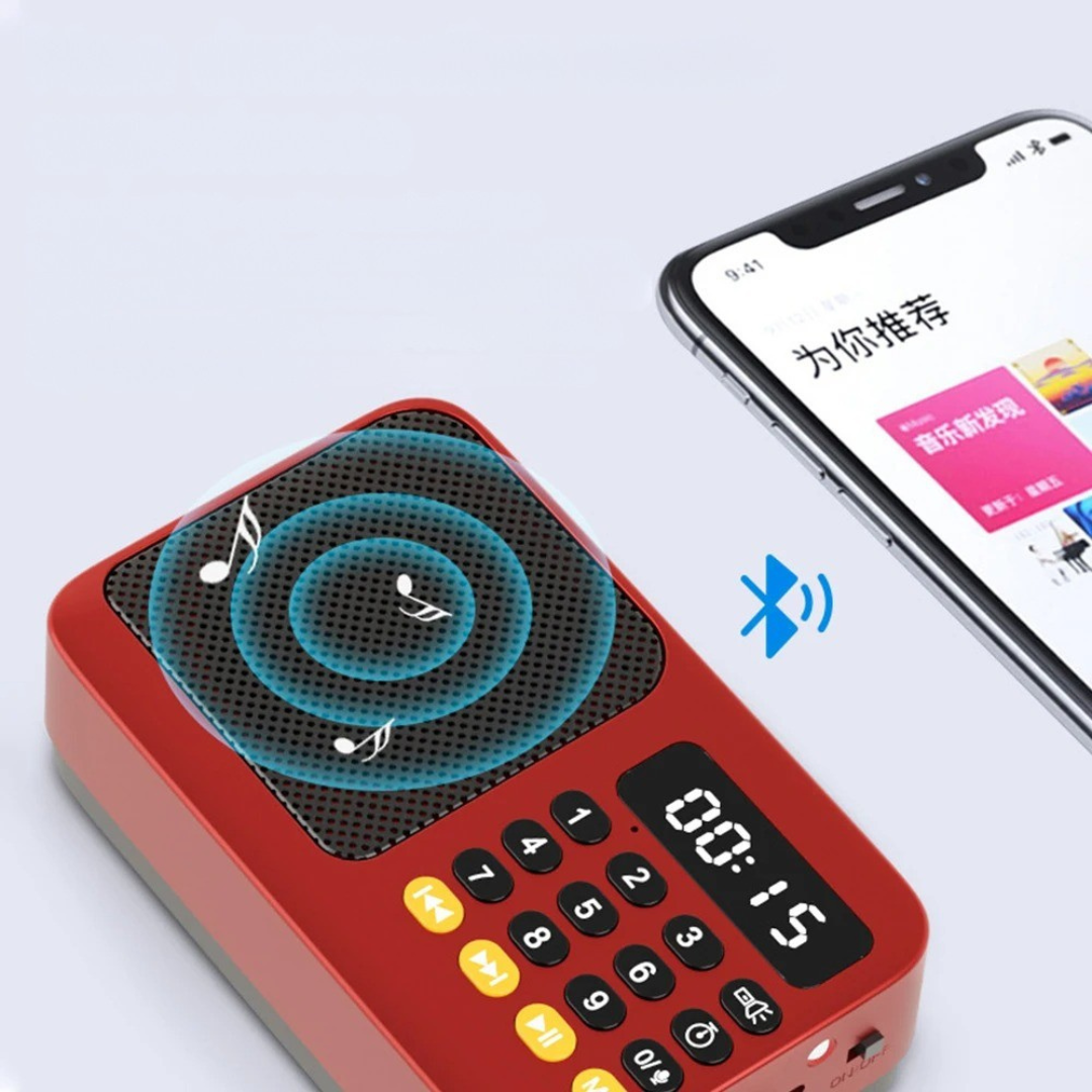 Nordspur | AureoWave Rechargeable Portable Radio Speaker