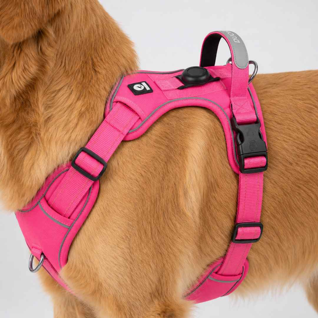 Nordspur | Strutpaw Adjustable No-Pull Chest Harness