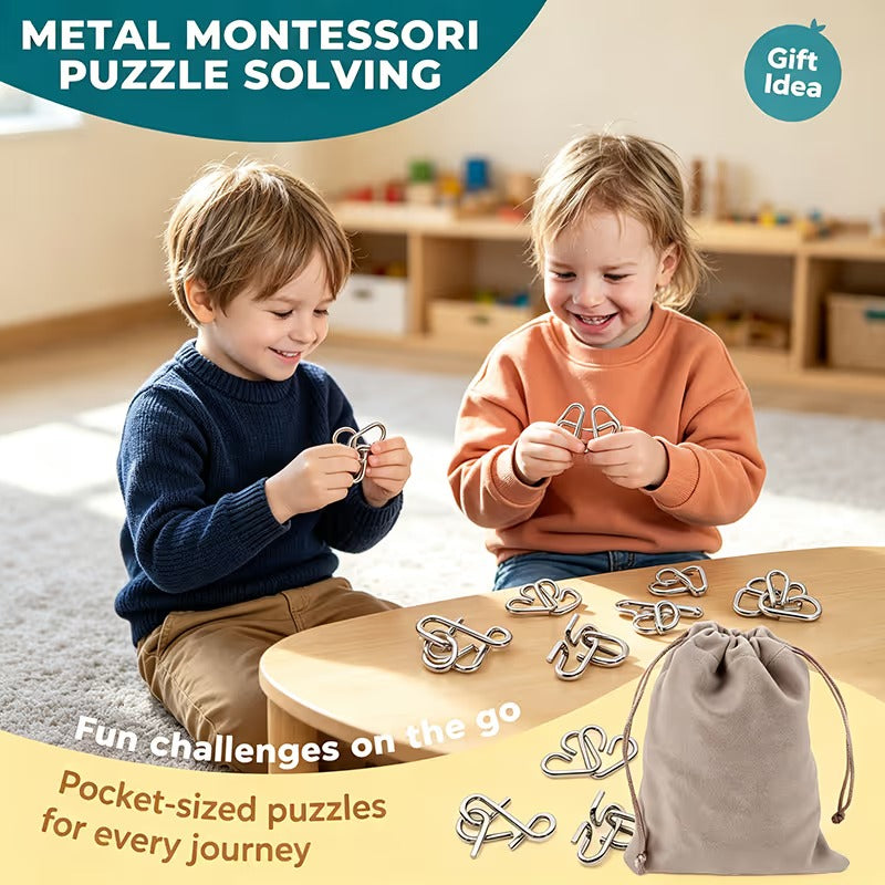 Metal Montessori Puzzle Solving