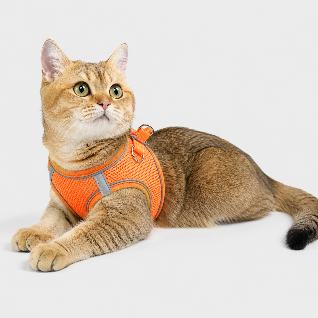 Nordspur | Snoutfit Adjustable Vest Harness With Matching Lead