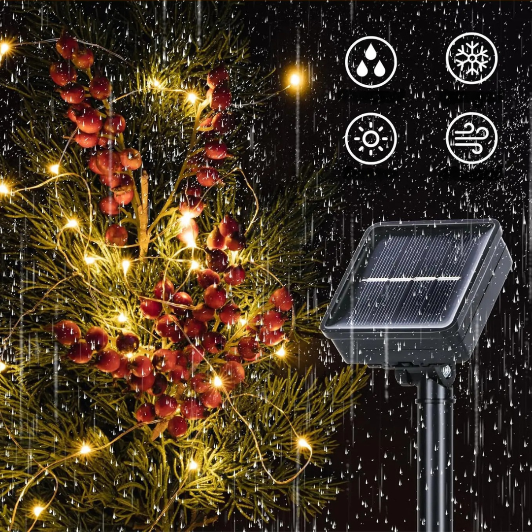 Nordspur | LumaTrail String Lights