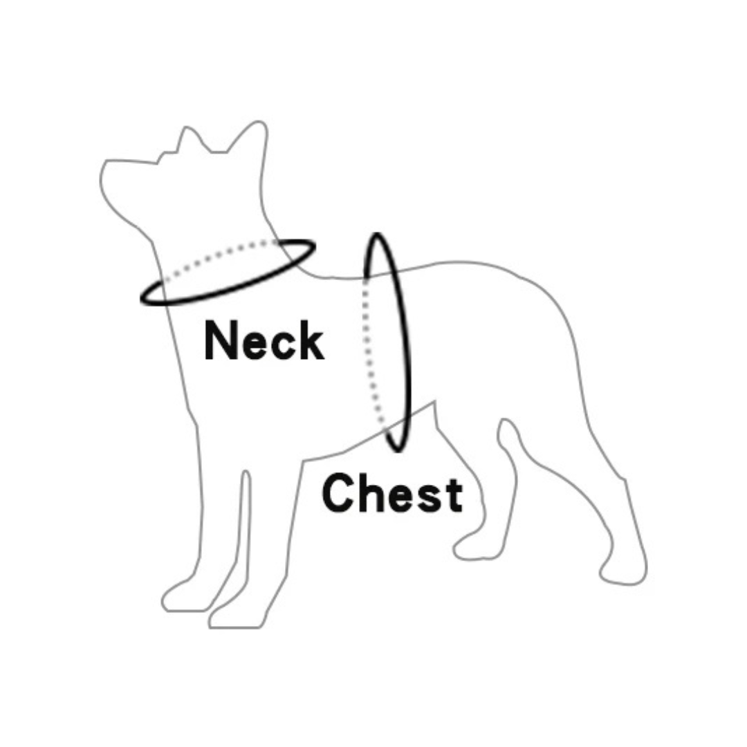 Nordspur | Pawvex Adjustable Reflective Dog Vest Harness