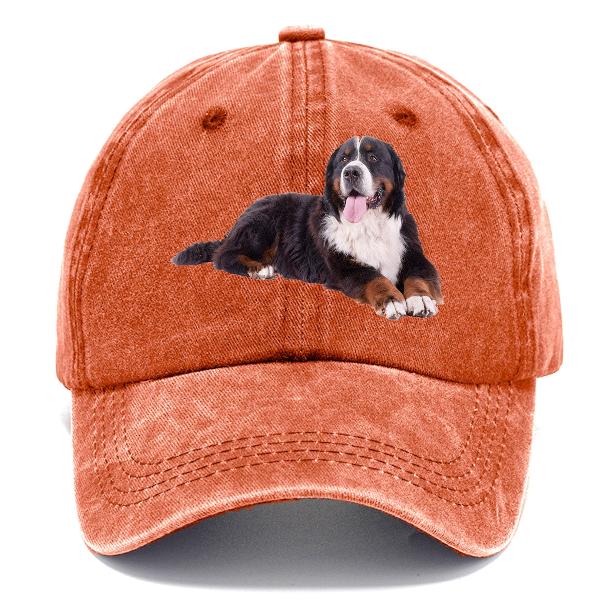 Bernese Mountain Dog Classic Cap