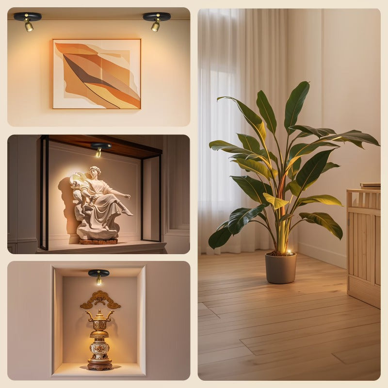Wireless Rechargeable Art Spotlight