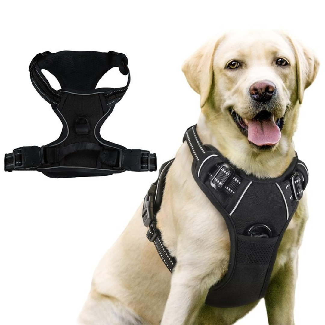 Nordspur | Pawcam Adjustable Chest And Back Camera Harness