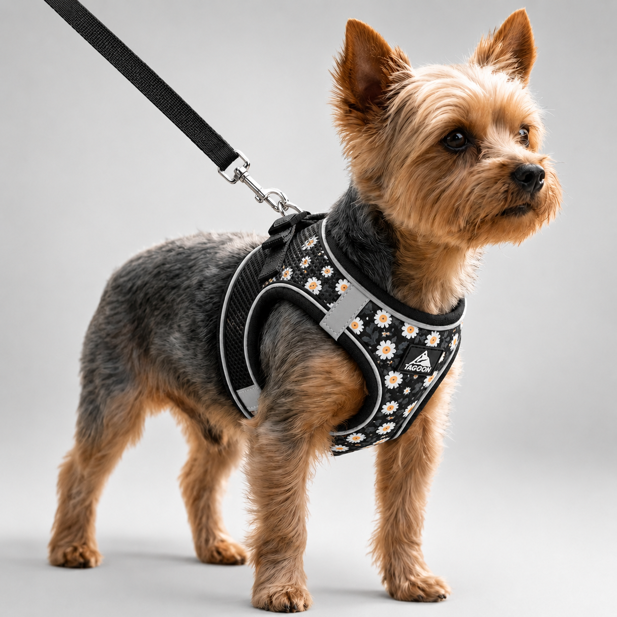 Nordspur | Striddler Adjustable No-Pull Pet Harness Set