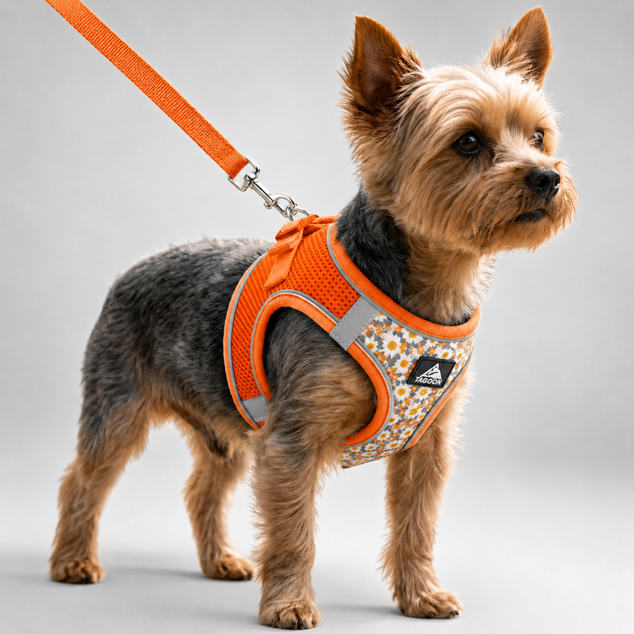 Nordspur | Striddler Adjustable No-Pull Pet Harness Set