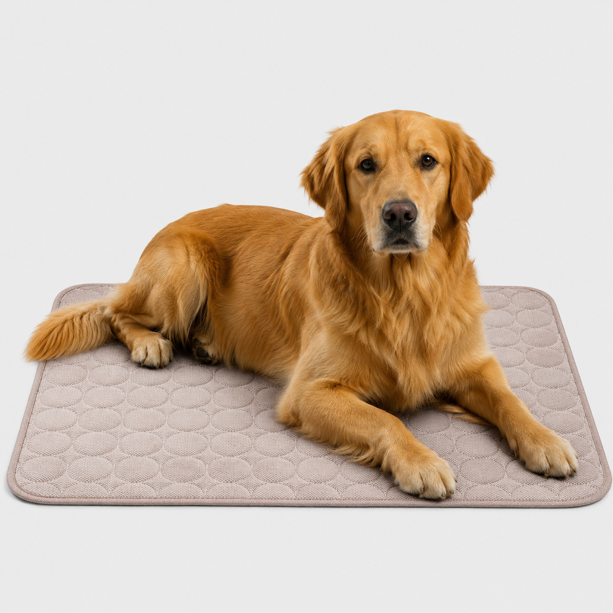 Nordspur | Frostbed Washable Pet Cooling Mat