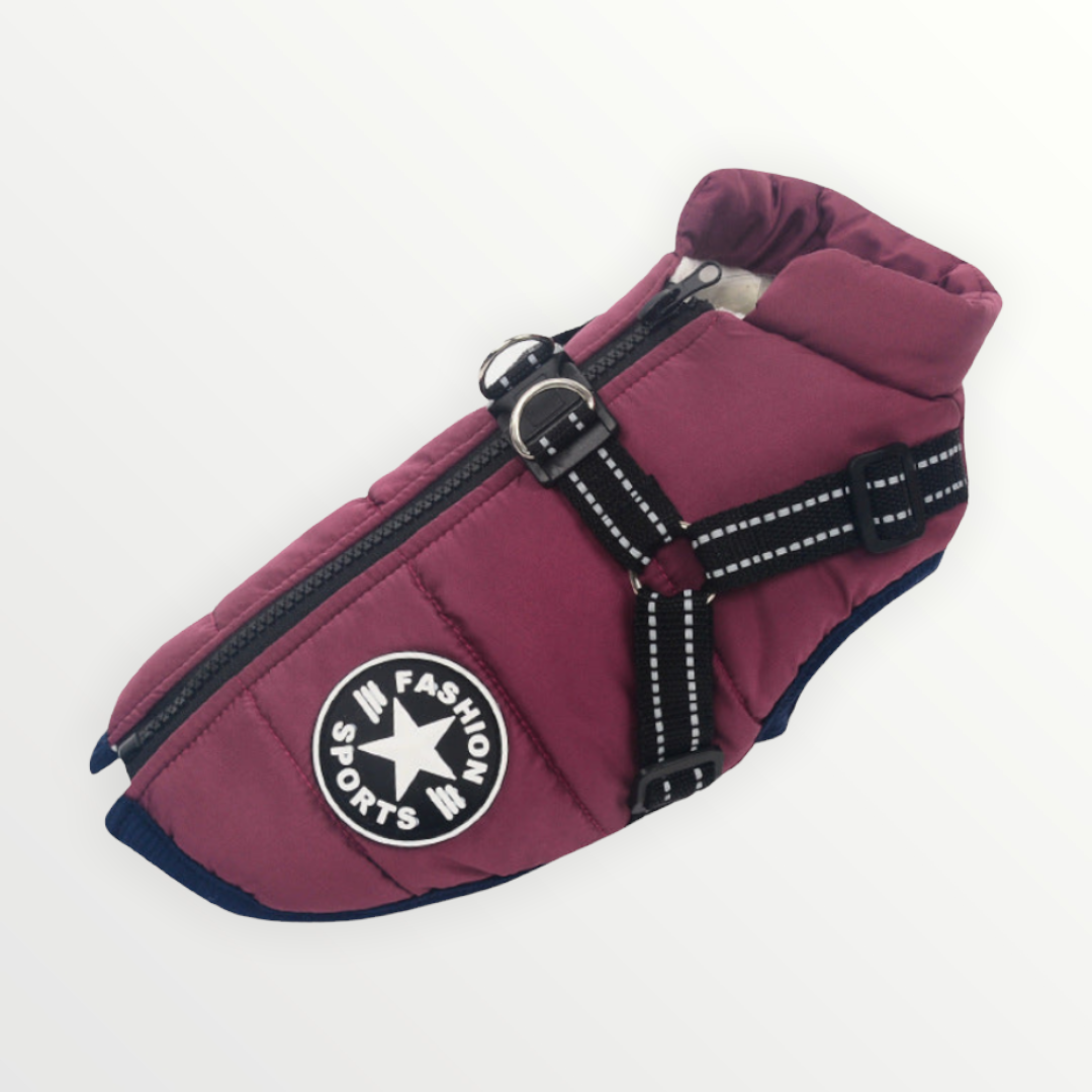 Dog Jacket | Wind & Water Resistant | Integrated Harness