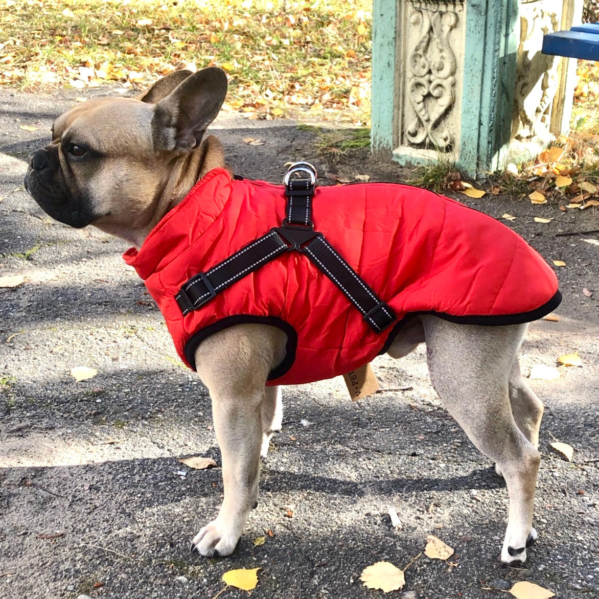 Dog Jacket | Wind & Water Resistant | Integrated Harness