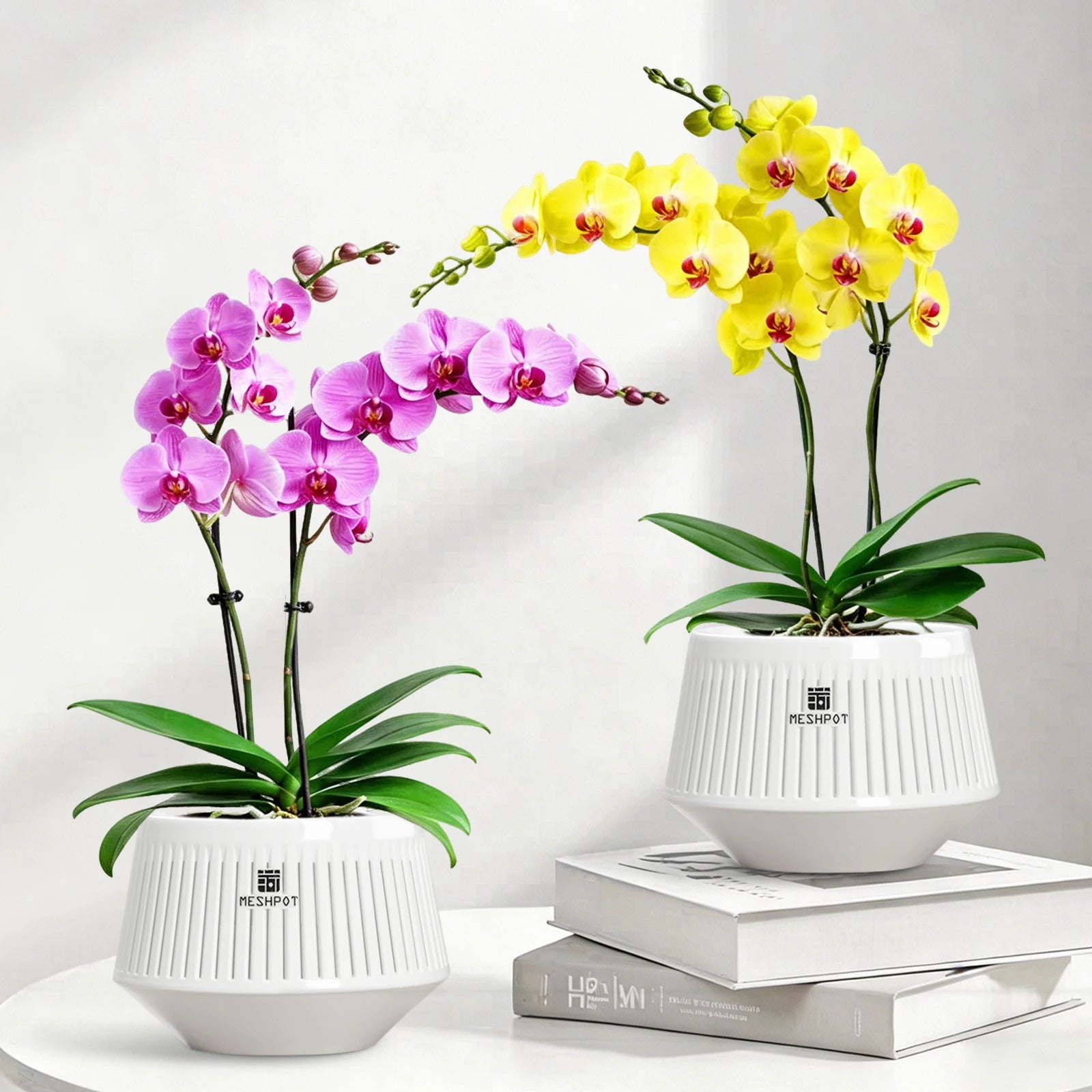 Nordspur | Aerabowl Ventilated Indoor Orchid Planter