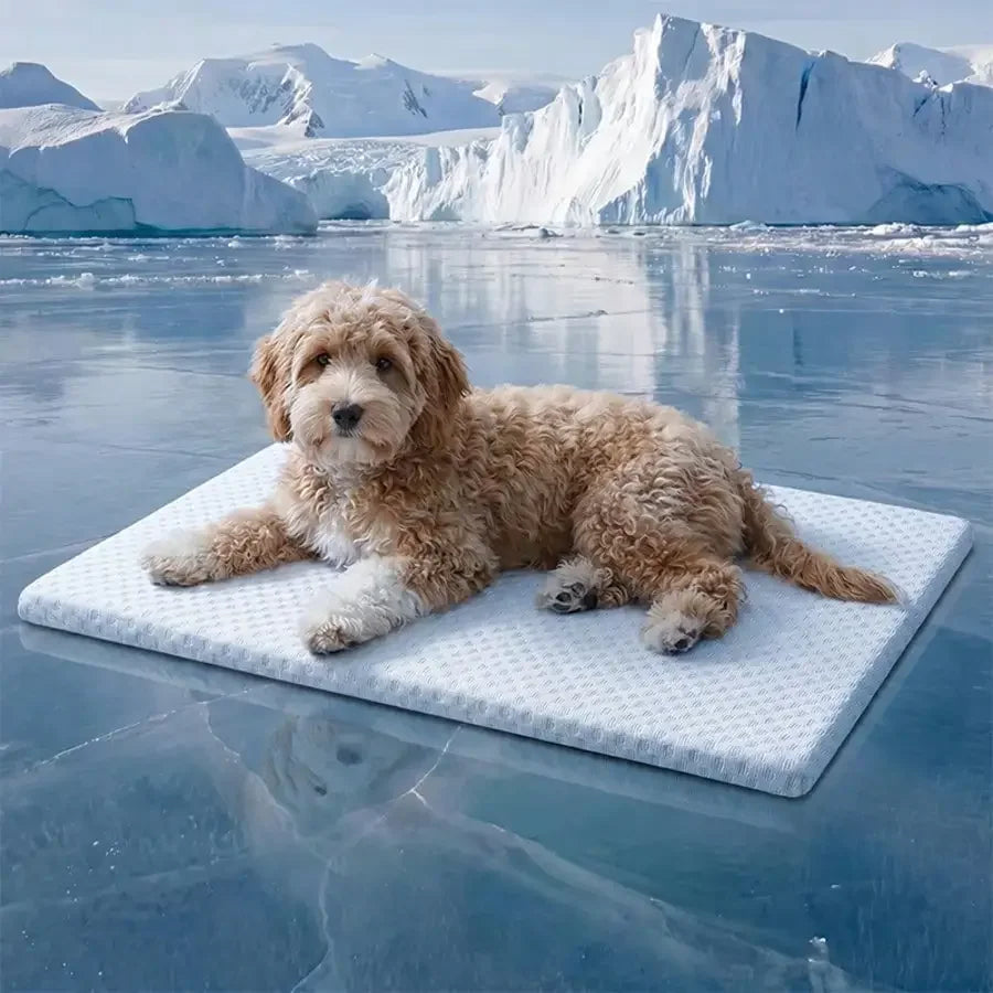Nordspur | Aerapad Textured Breathable Pet Cooling Mat