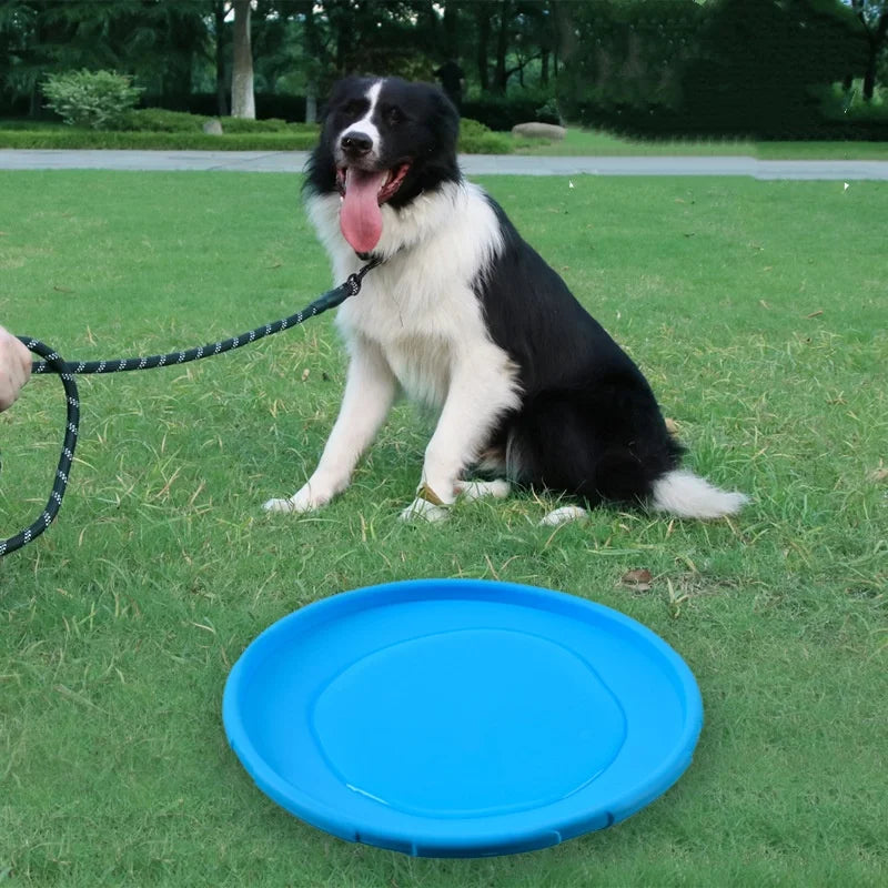 Nordspur | Aerofetch Flexible Pet Flying Disc