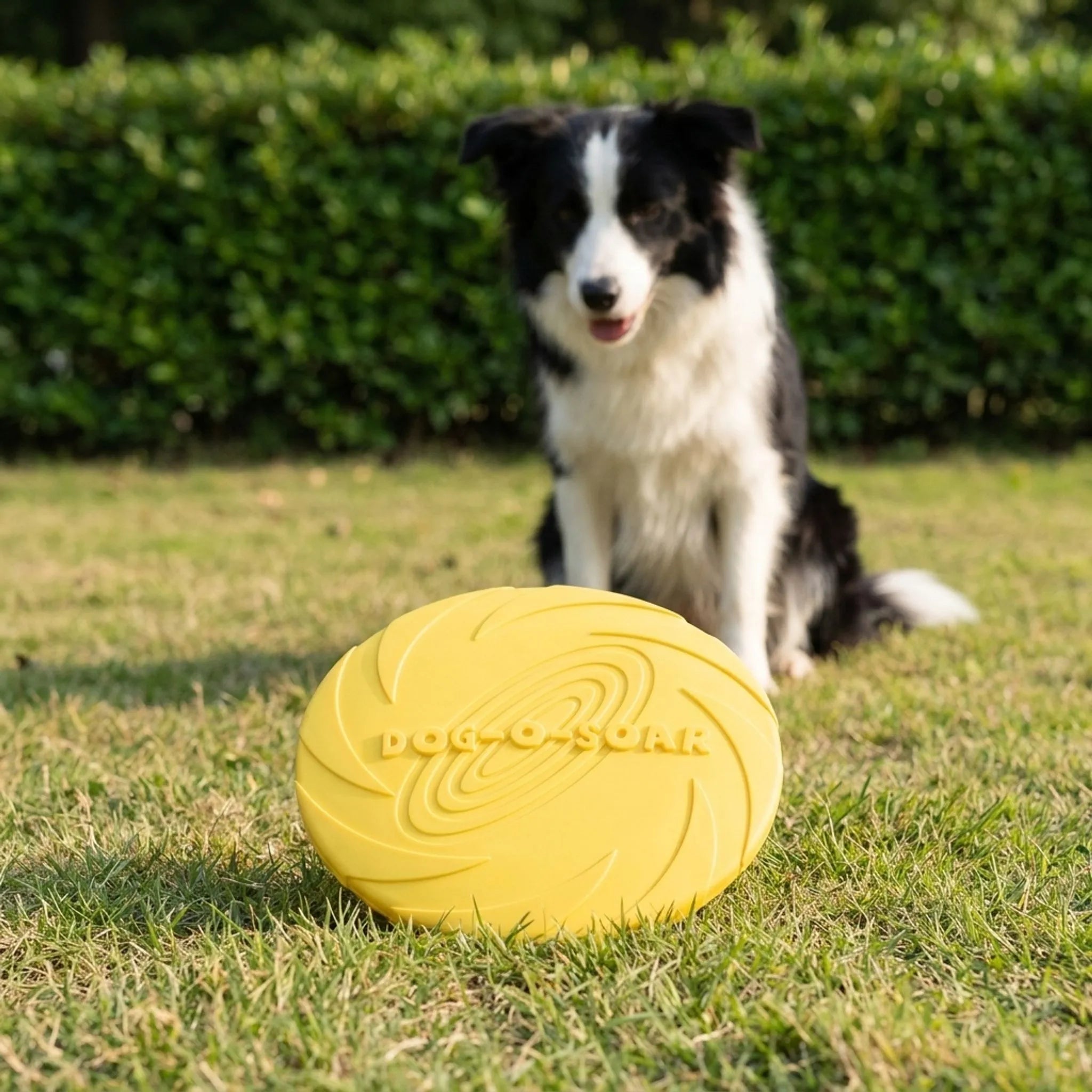 Nordspur | Aerofetch Flexible Pet Flying Disc