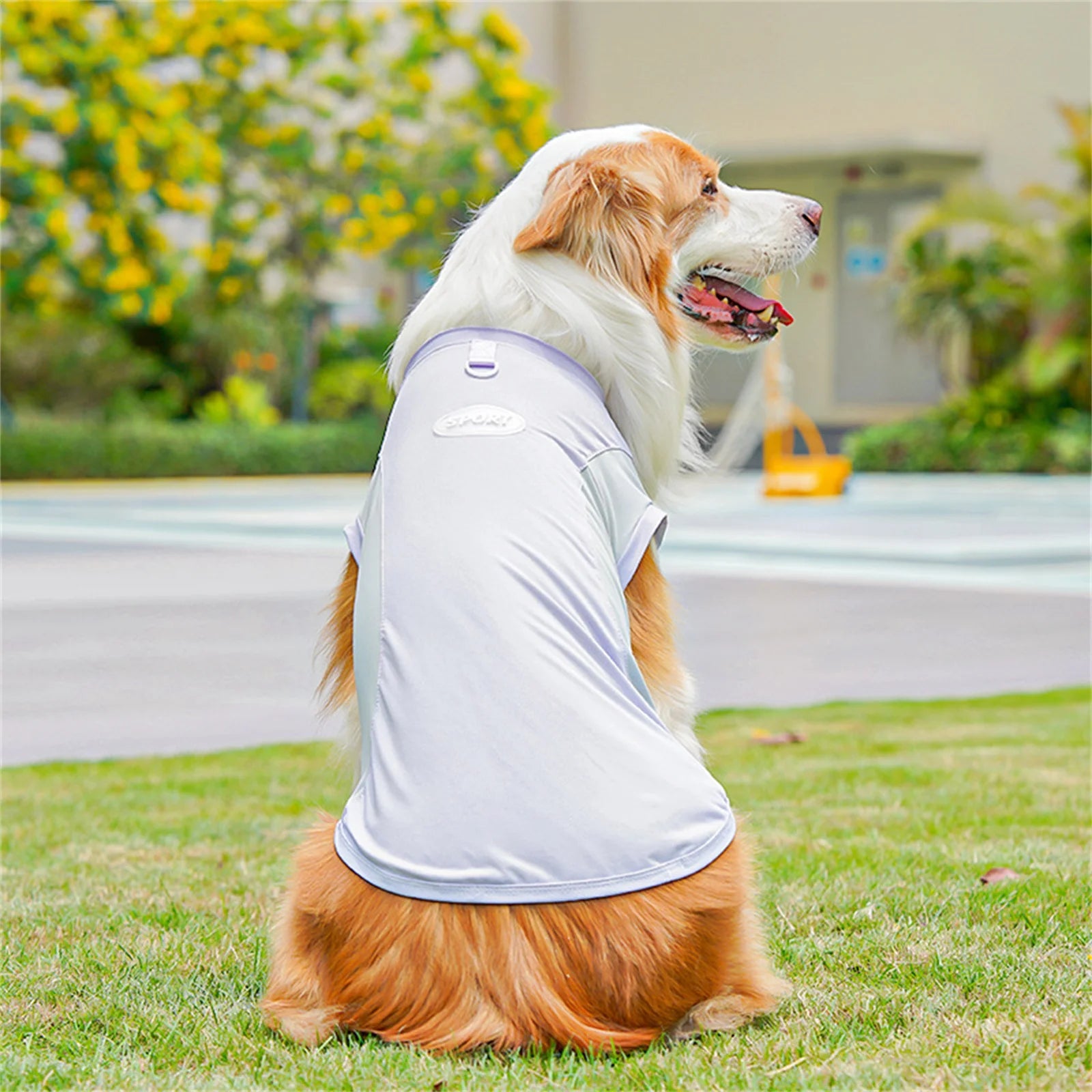 Nordspur | Aeromutt Lightweight Summer Dog Vest
