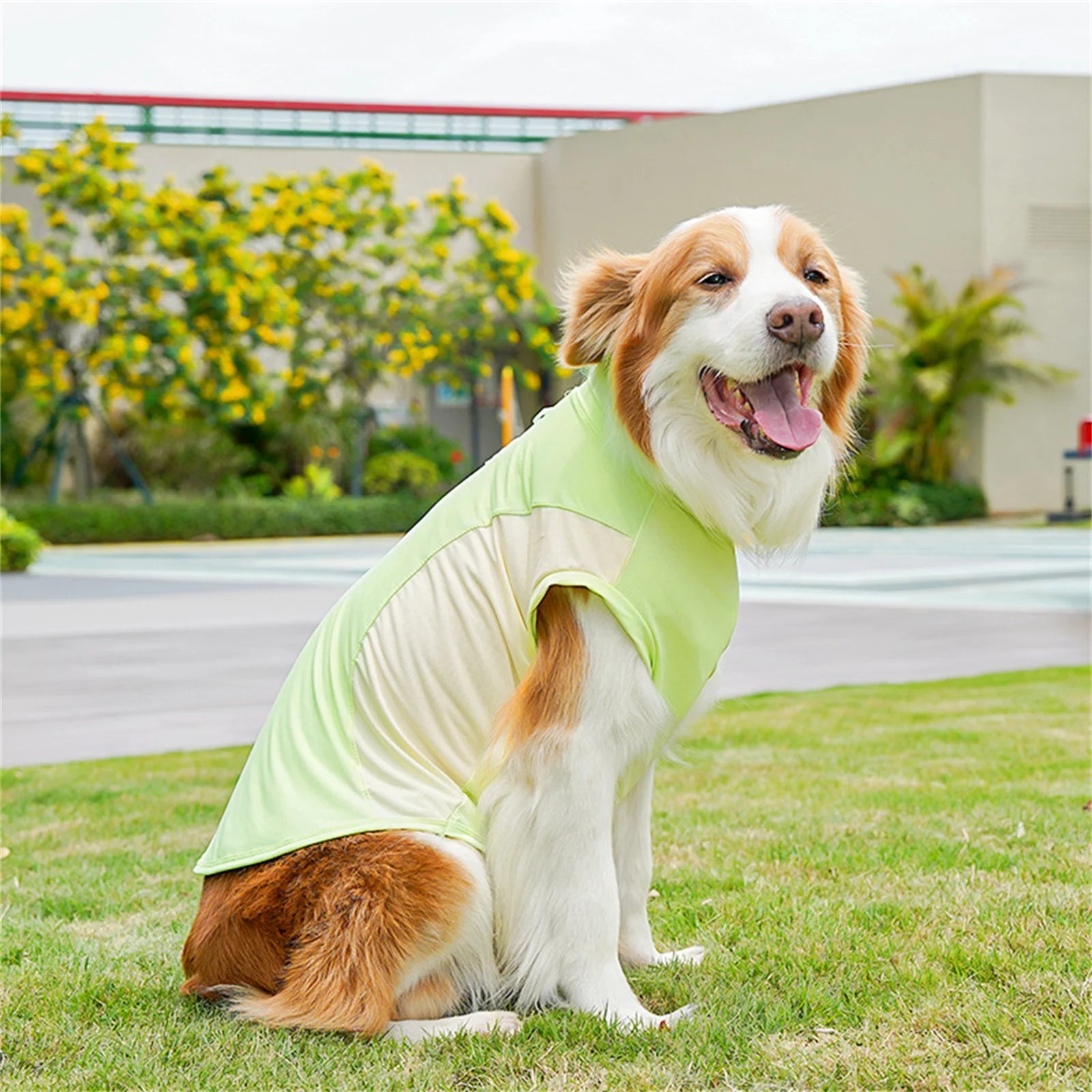 Nordspur | Aeromutt Lightweight Summer Dog Vest
