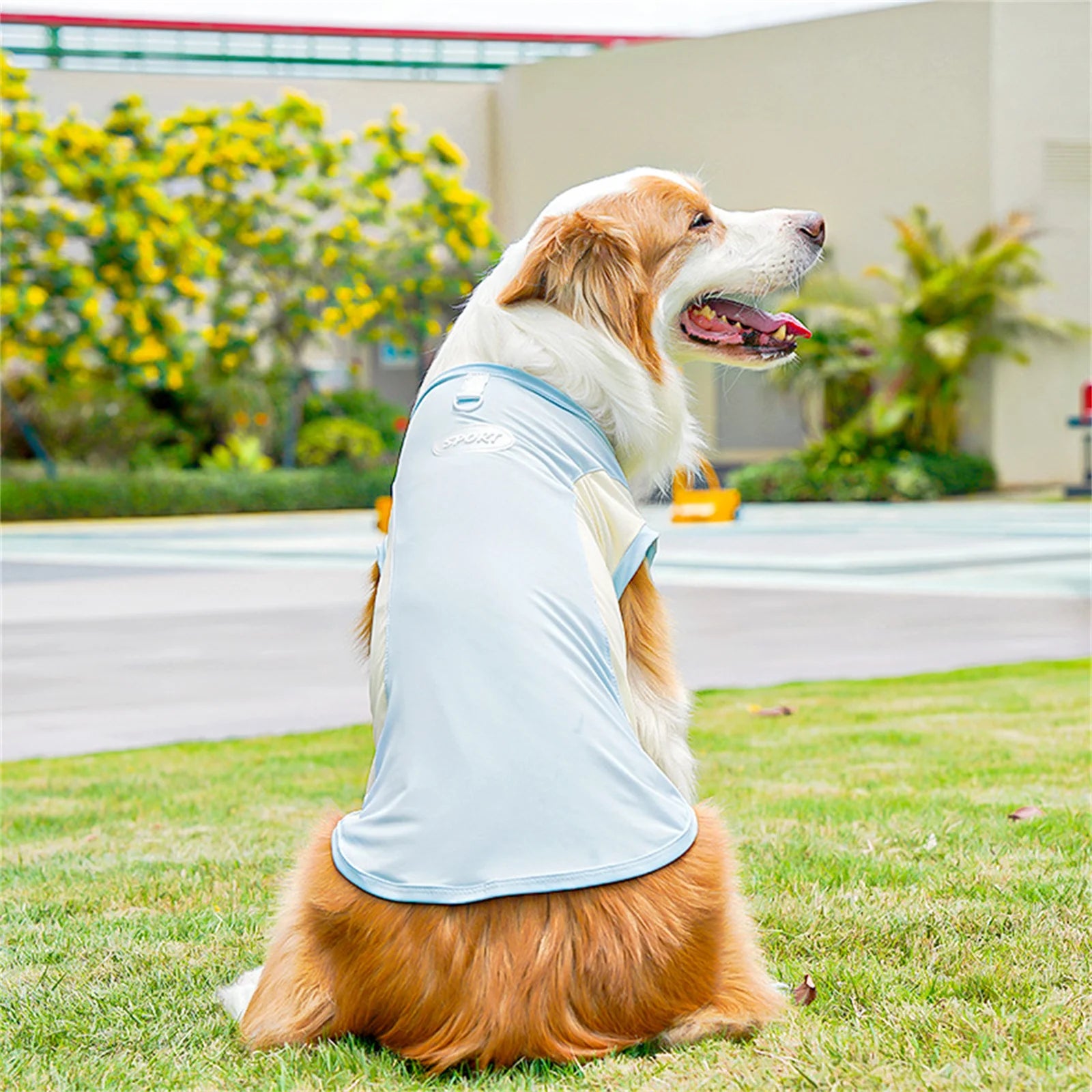 Nordspur | Aeromutt Lightweight Summer Dog Vest