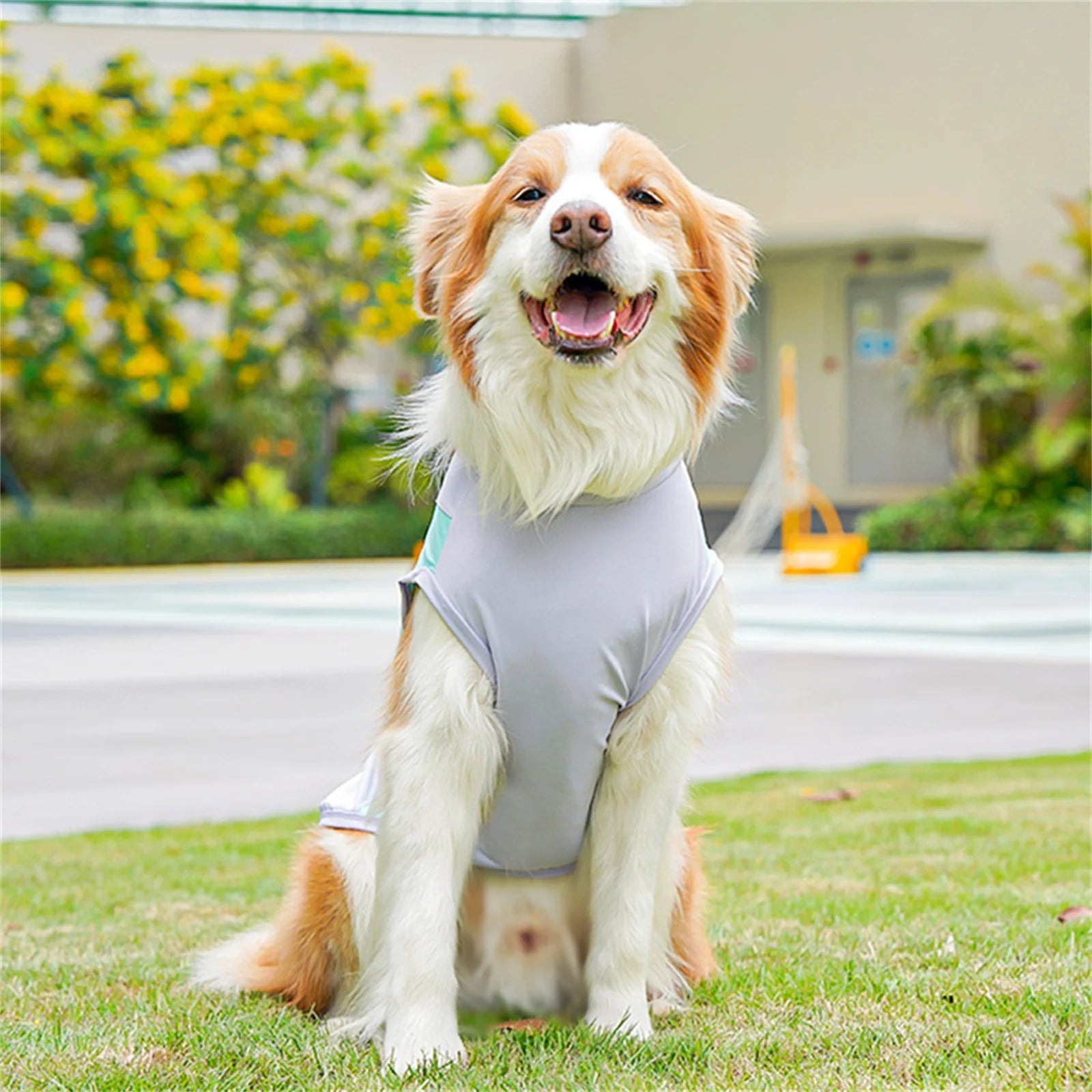 Nordspur | Aeromutt Lightweight Summer Dog Vest