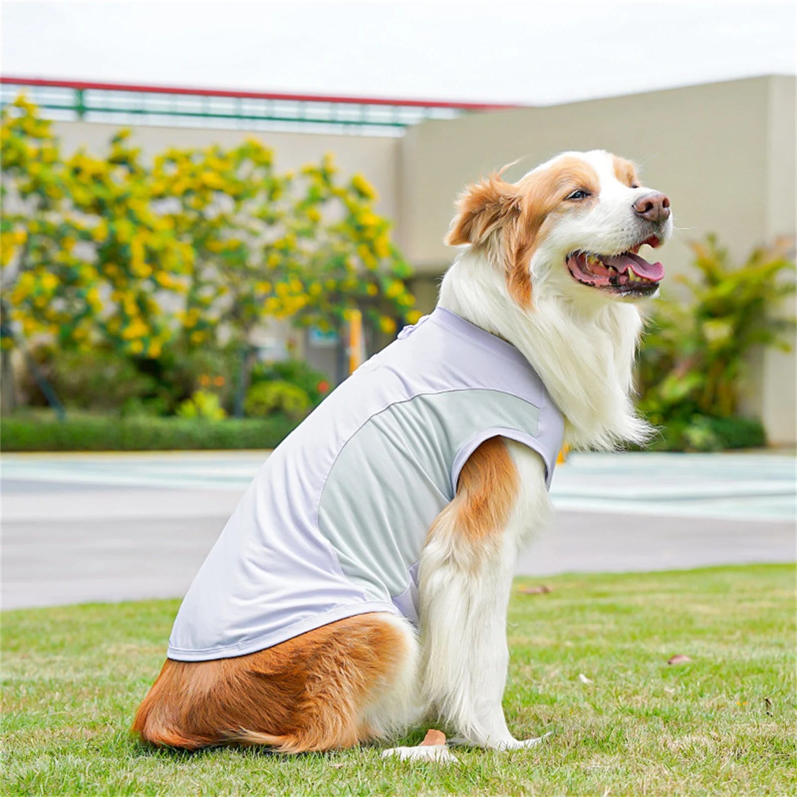 Nordspur | Aeromutt Lightweight Summer Dog Vest