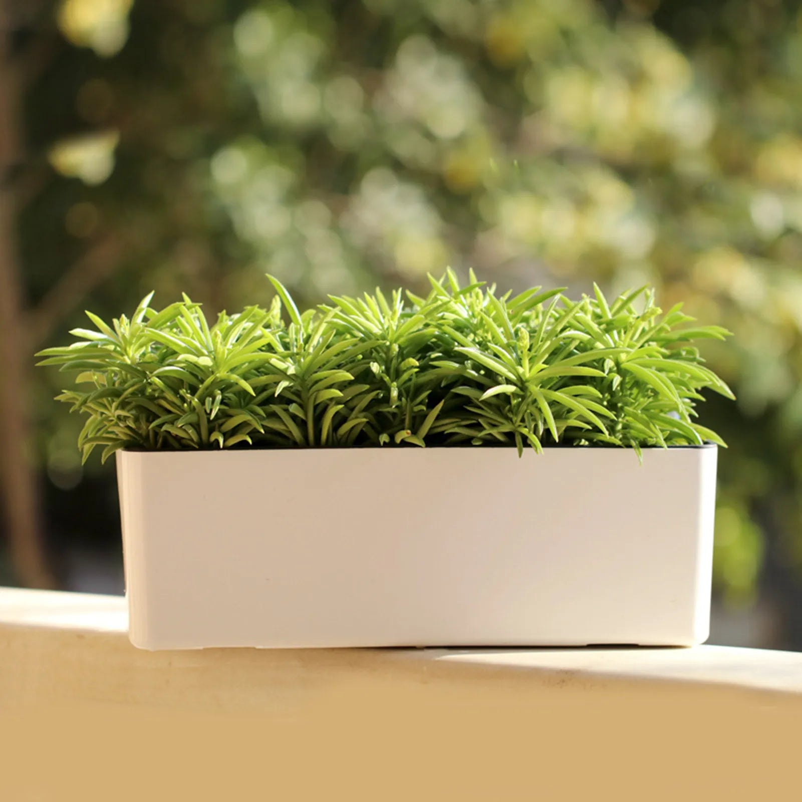 Nordspur | Aquaverde Rectangular Self-Watering Indoor Planter
