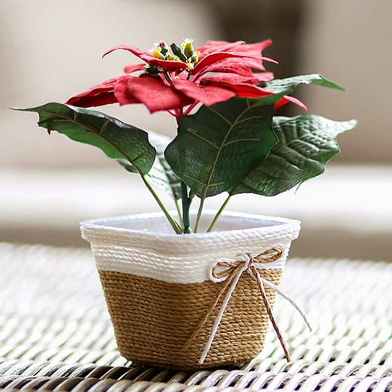 Nordspur | Bramblette Hand-Woven Two-Tone Planter Basket