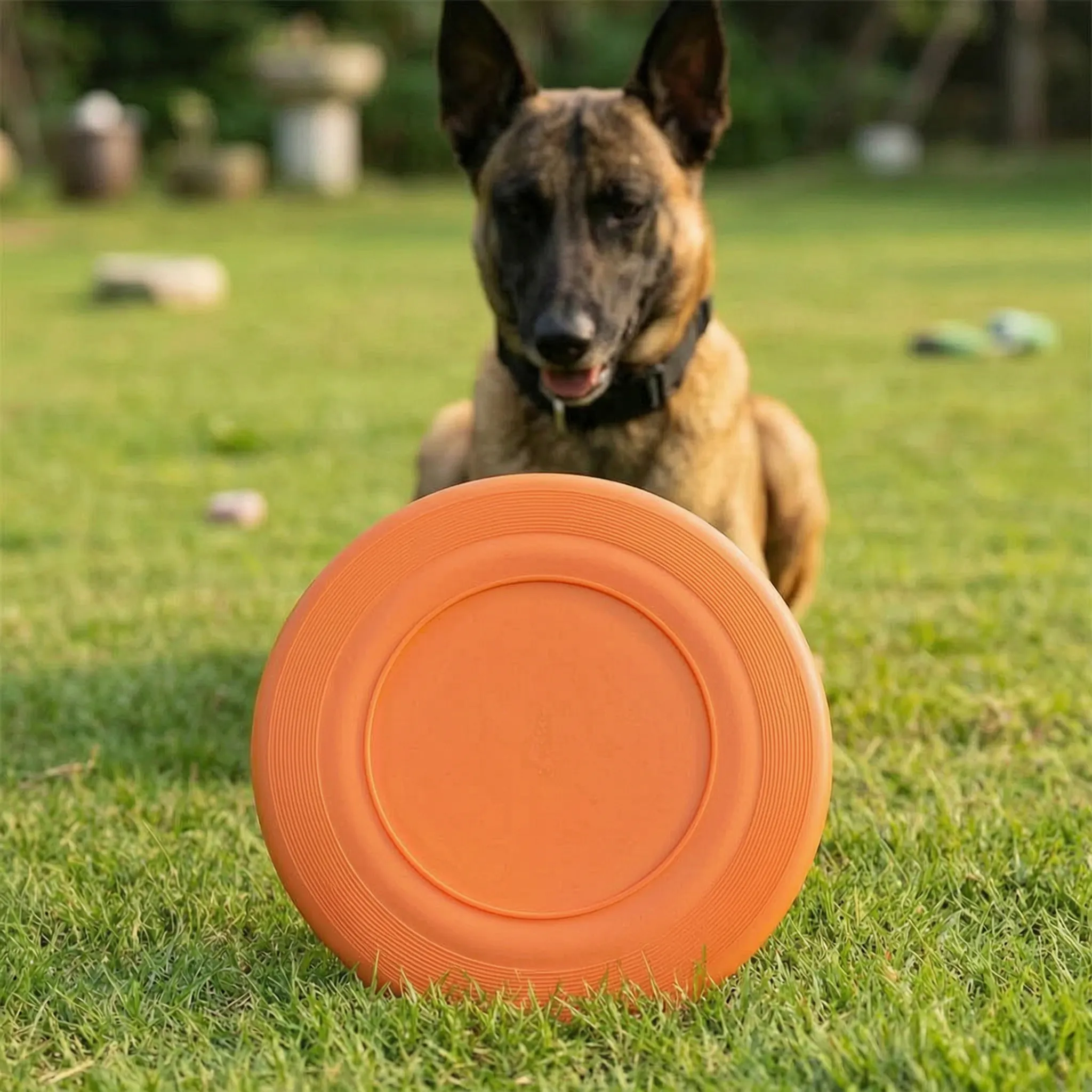 Nordspur | Bravion Flexible Flying Disc