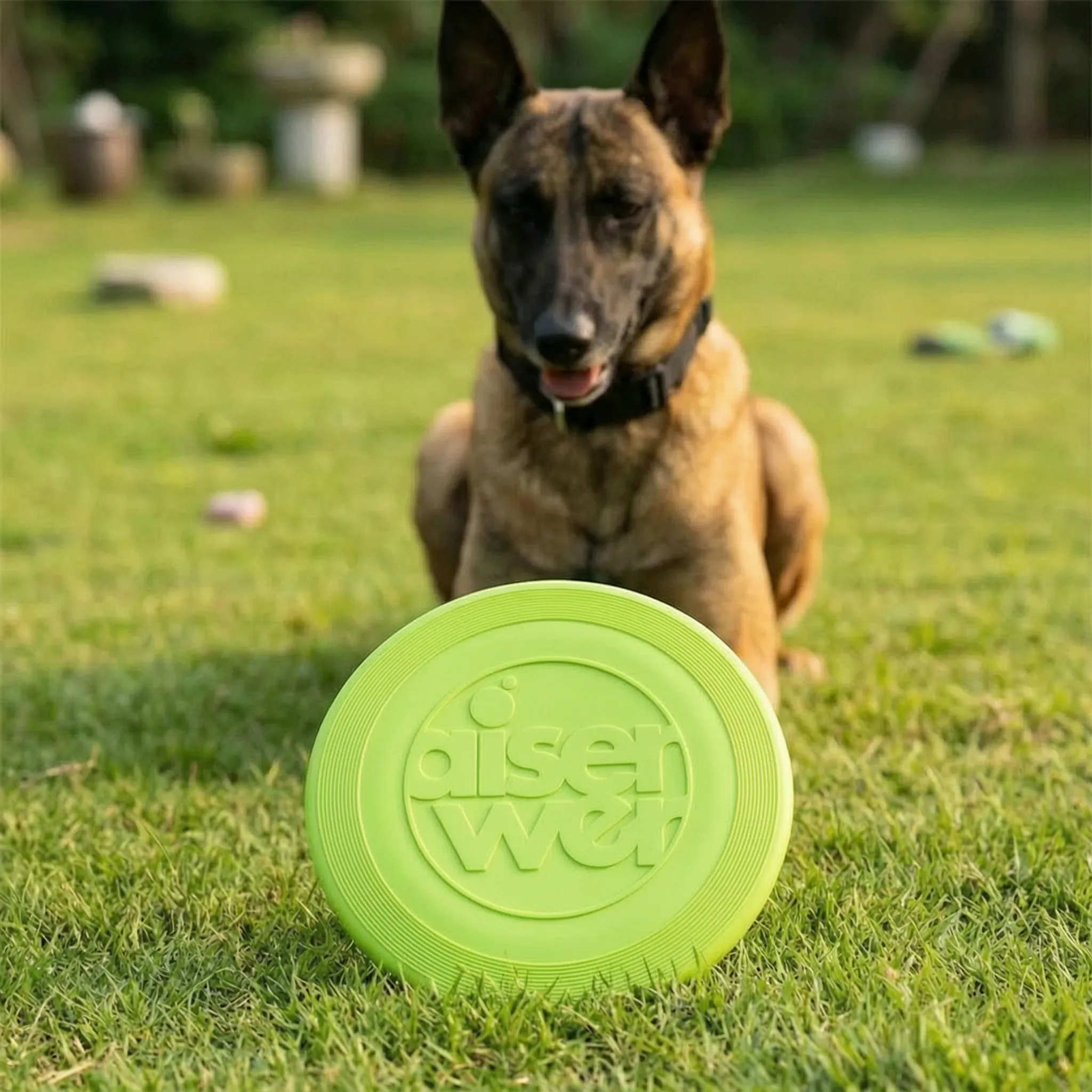 Nordspur | Bravion Flexible Flying Disc