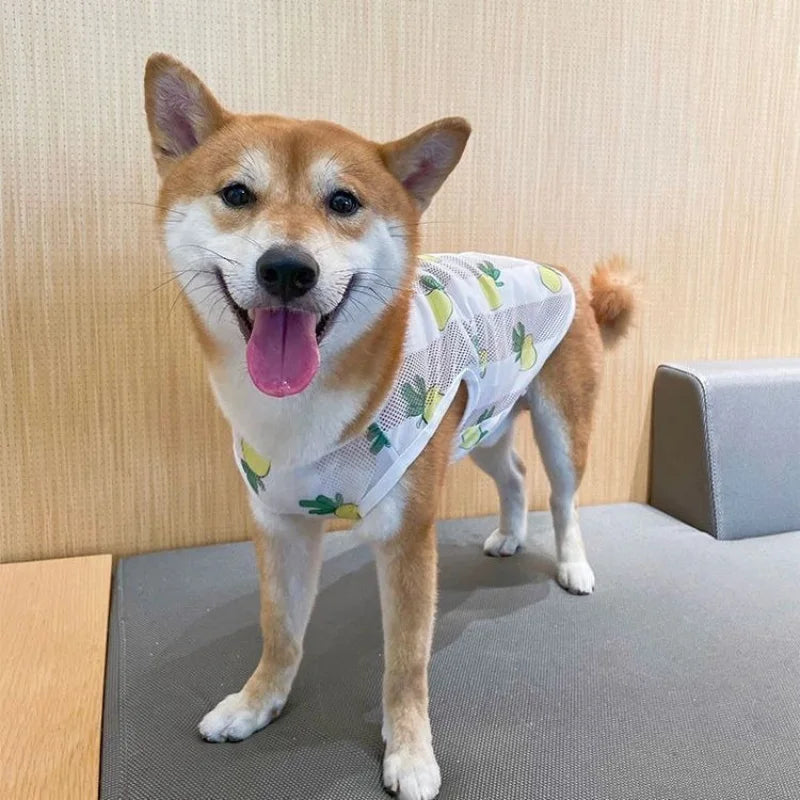 Nordspur | Breezepaws Breathable Printed Dog Vest