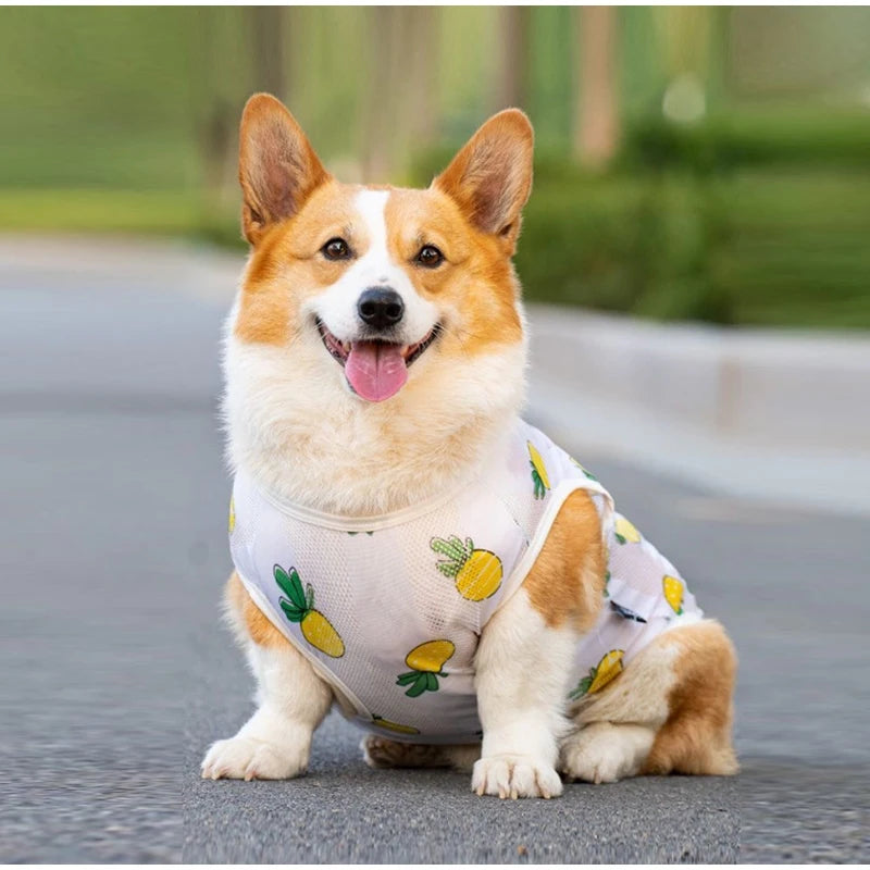 Nordspur | Breezepaws Breathable Printed Dog Vest
