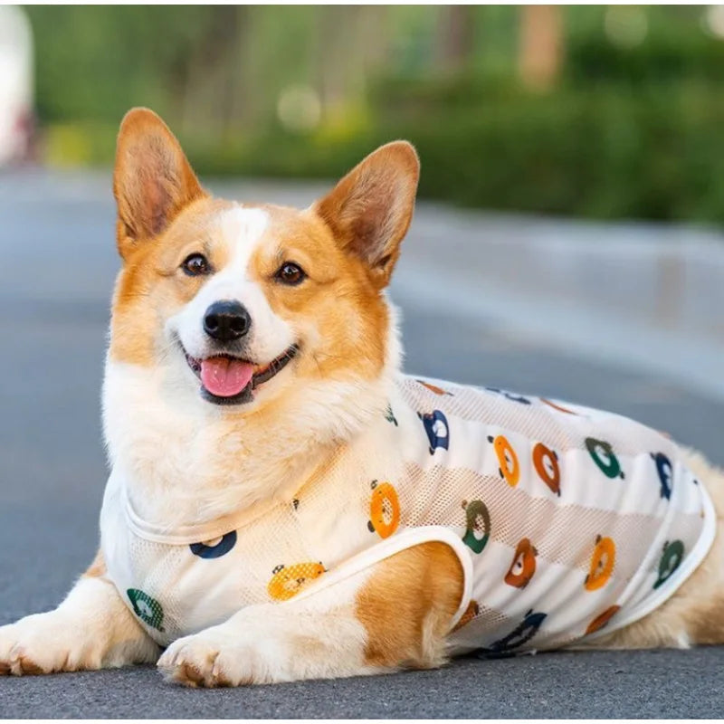 Nordspur | Breezepaws Breathable Printed Dog Vest