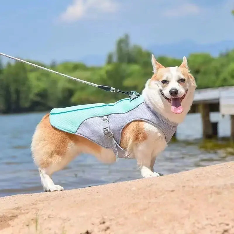 Nordspur | Breezvest Adjustable Dog Cooling Harness