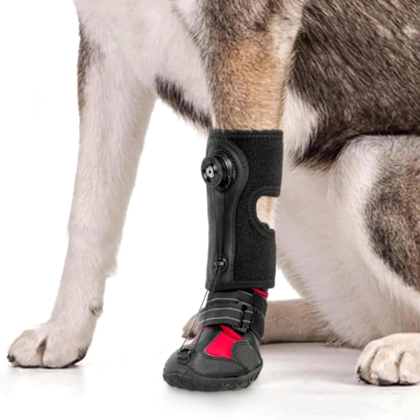 Nordspur | Canivela Adjustable Tension Drop Foot Dog Brace