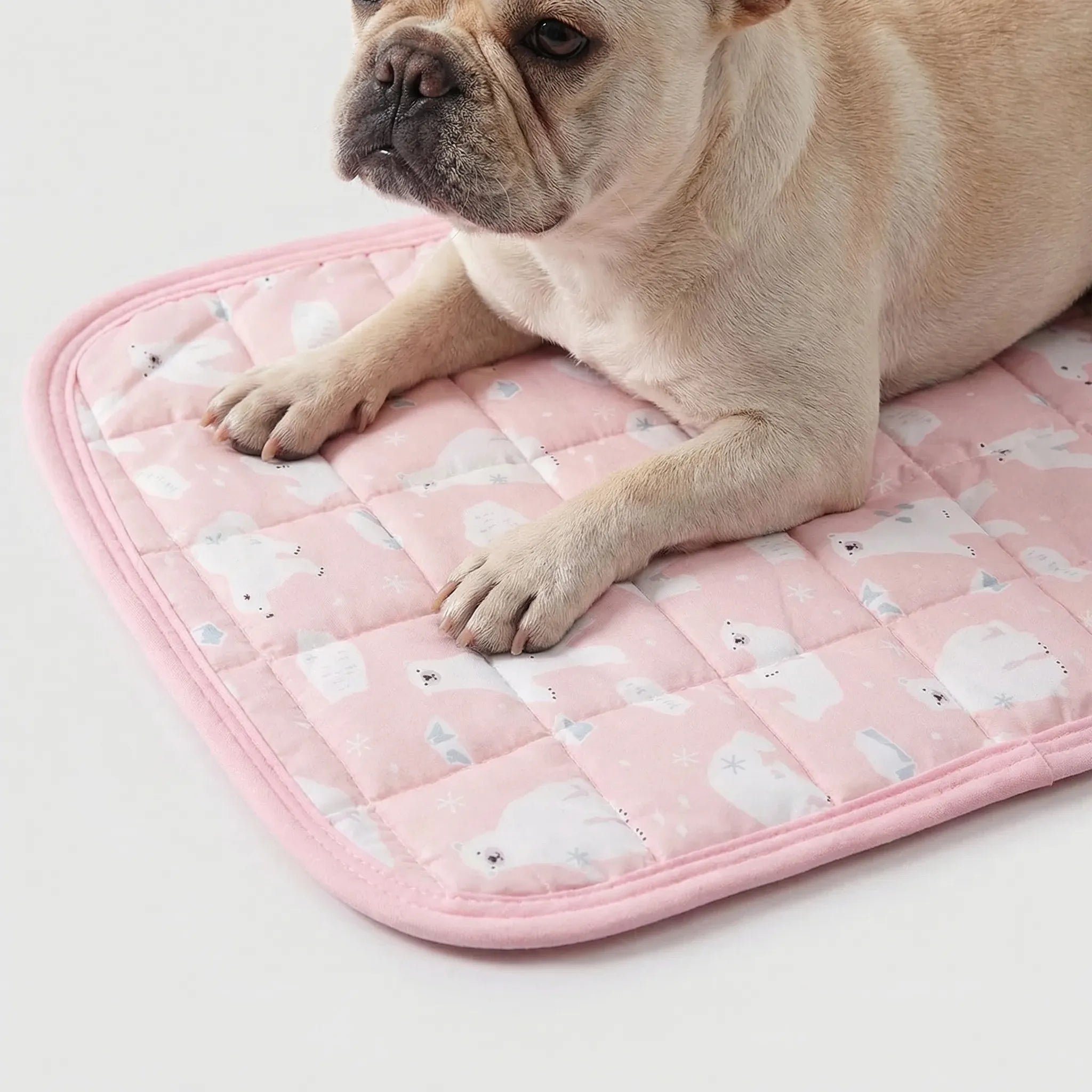 Nordspur | Chillnest Quilted Pet Cooling Cushion Mat