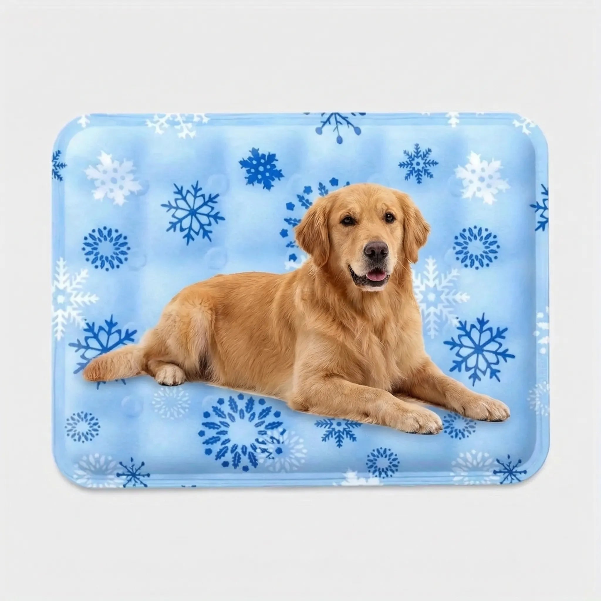 Nordspur | Chillova Water-Filled Pet Cooling Mat