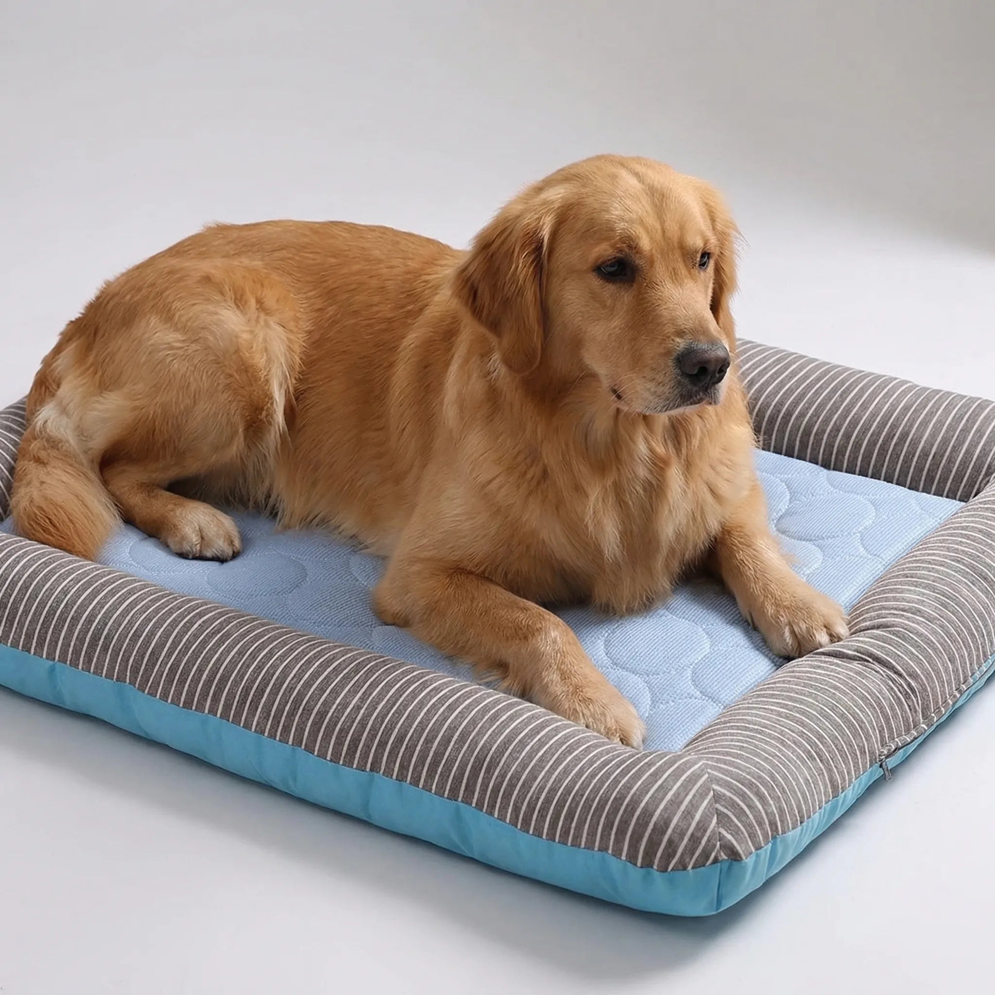 Nordspur | Chillpaw Breathable Summer Cooling Pet Mat