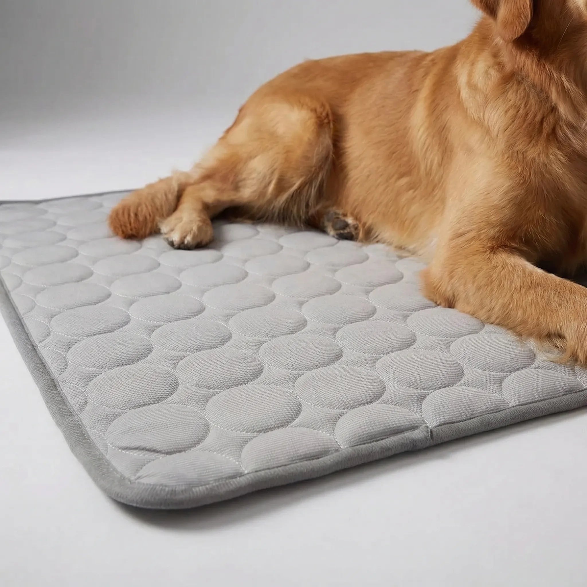 Nordspur | Chillpaw Quilted Cooling Mat For Pets