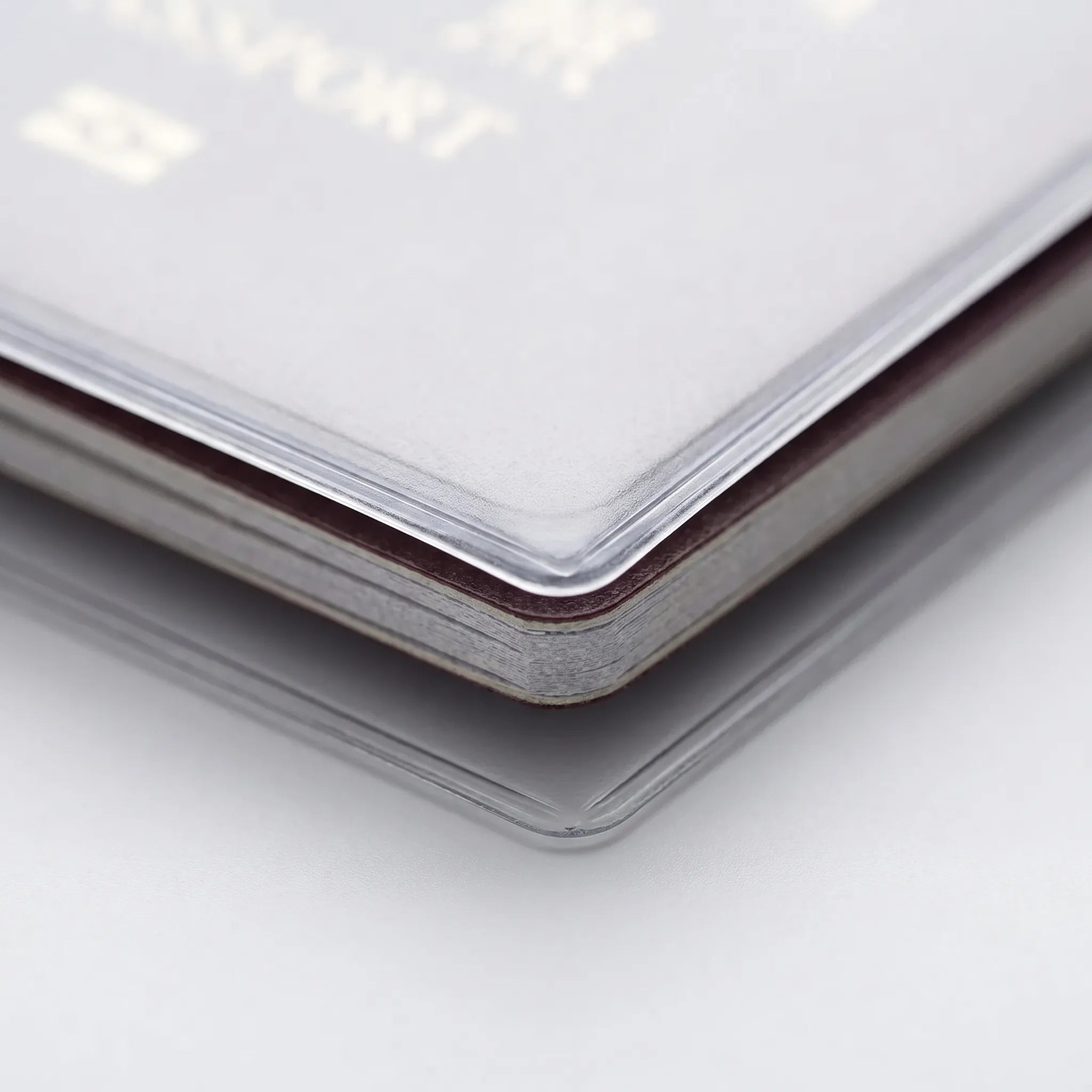 Nordspur | Clarise Transparent Passport Slip Cover