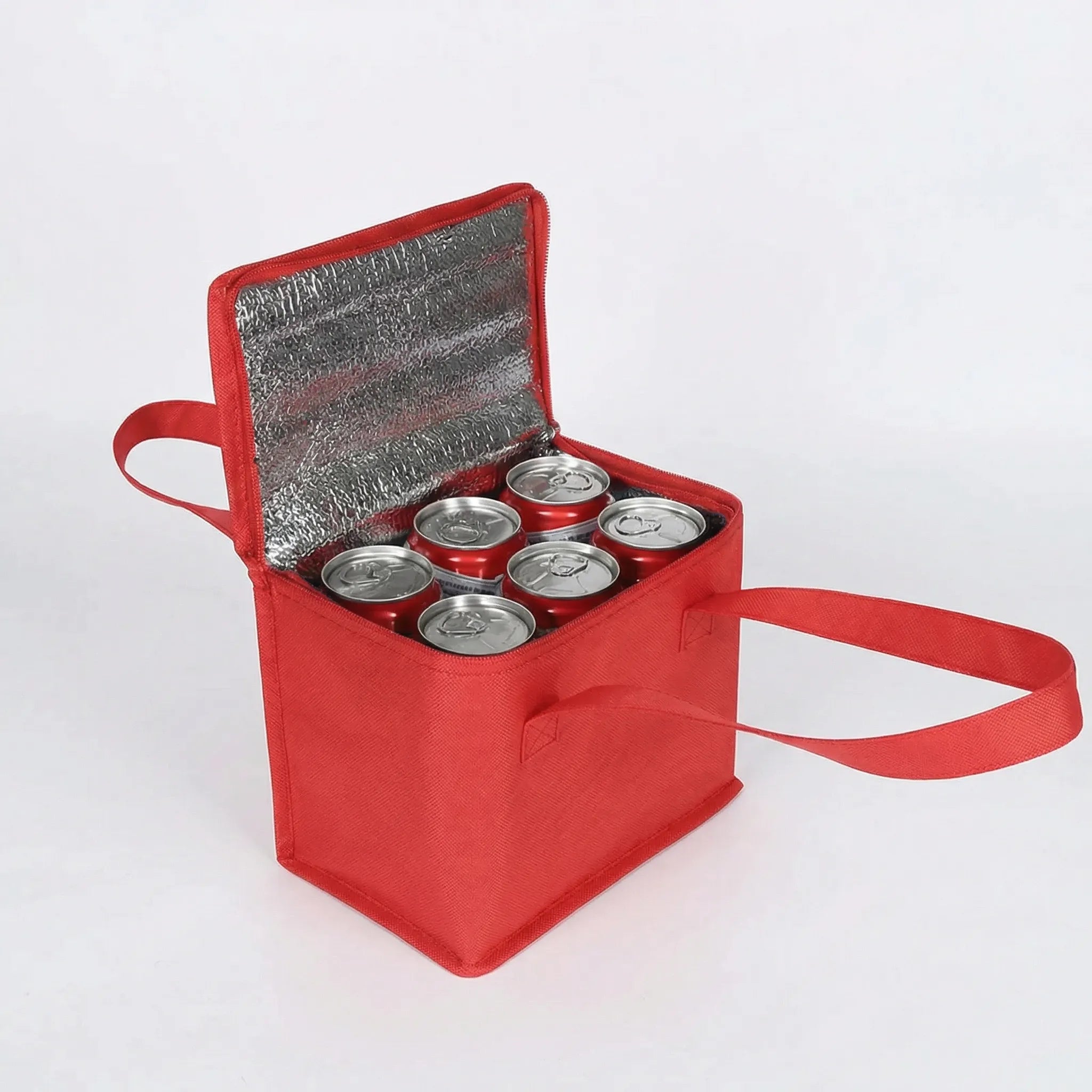 Nordspur | CoolCarry Portable Insulated Lunch Bag