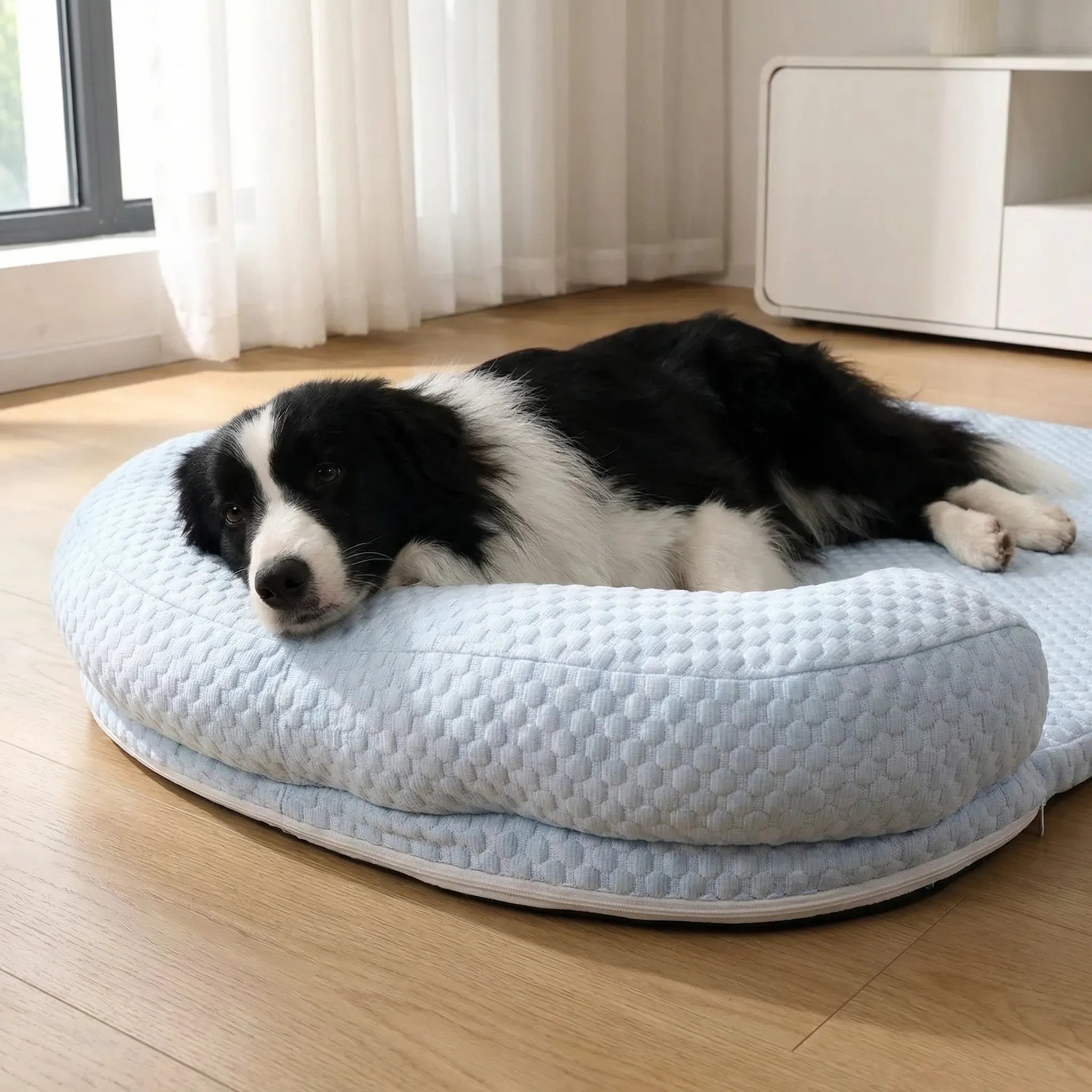 Nordspur | Coolova Cooling Foam Pet Bed With Bolster