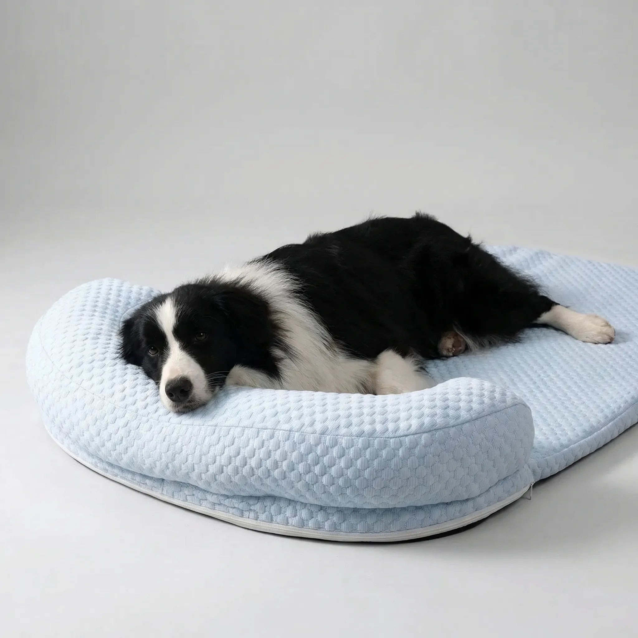 Nordspur | Coolova Cooling Foam Pet Bed With Bolster