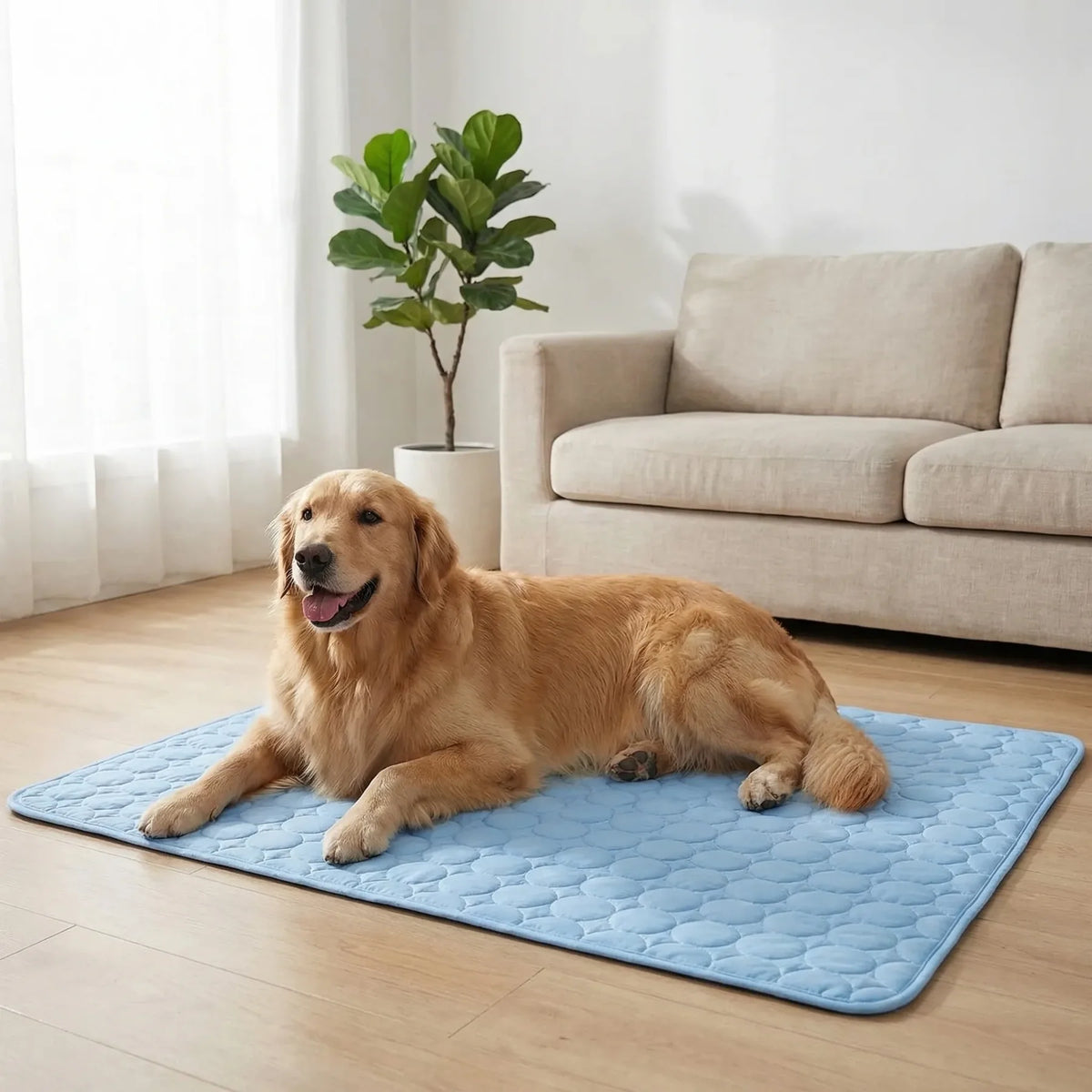 Nordspur | Coolpaw Breathable Mesh Cooling Pet Mat