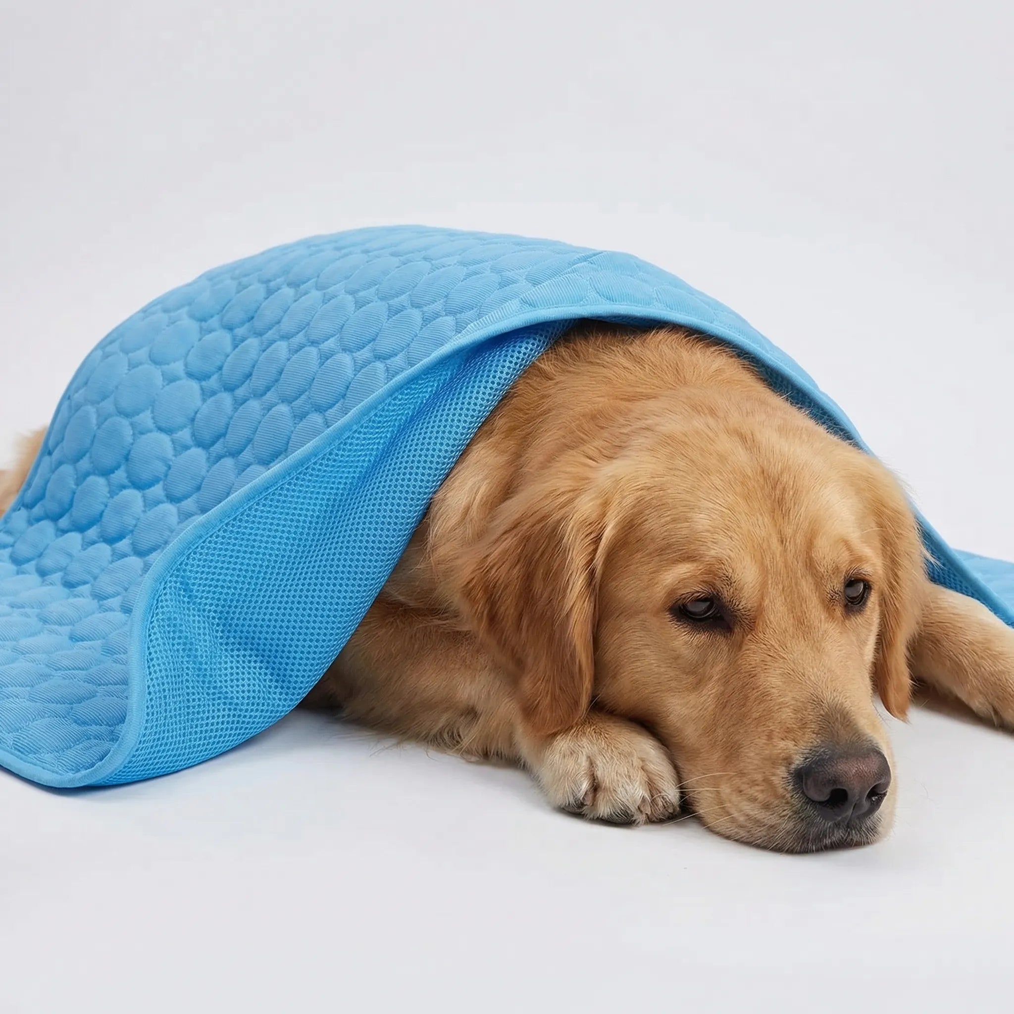 Nordspur | Coolpaw Breathable Mesh Cooling Pet Mat